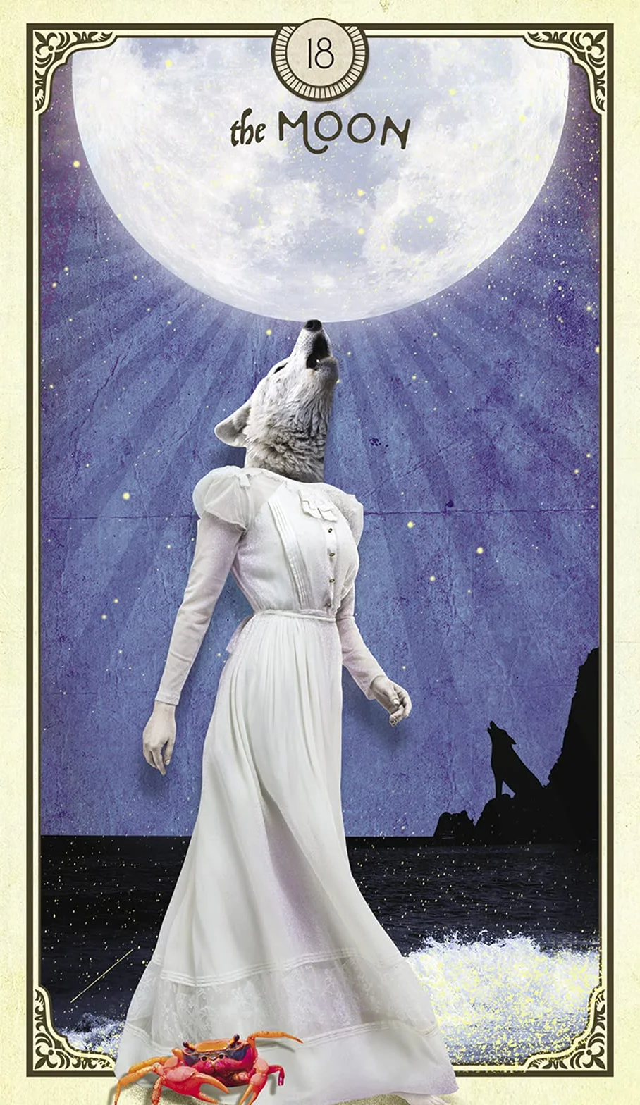 The Tarot of Curious Creatures: A 78 (+1) Card Deck and Guidebook