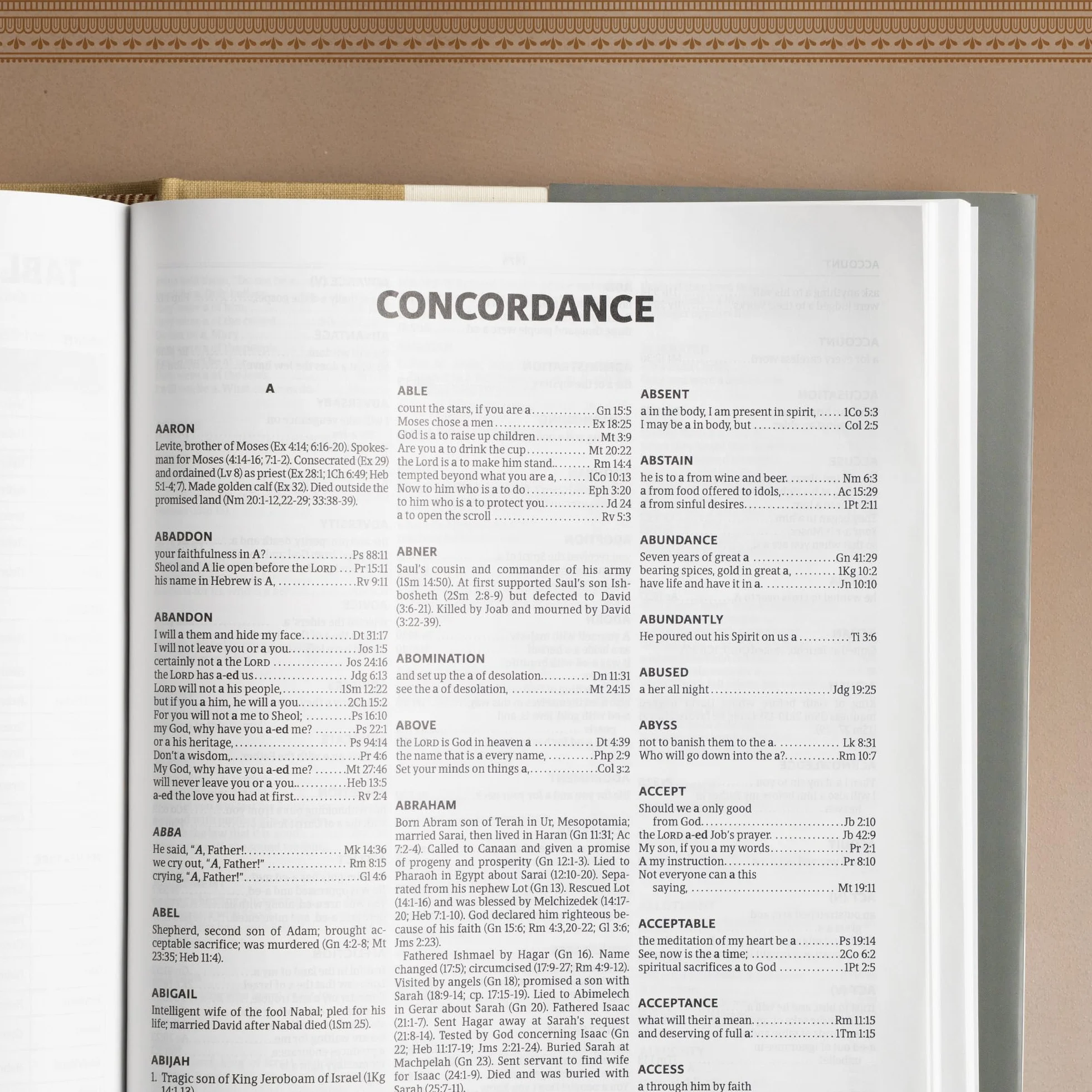 CSB Holy Land Illustrated Bible, Hardcover: A Visual Exploration of the People, Places, and Things of Scripture