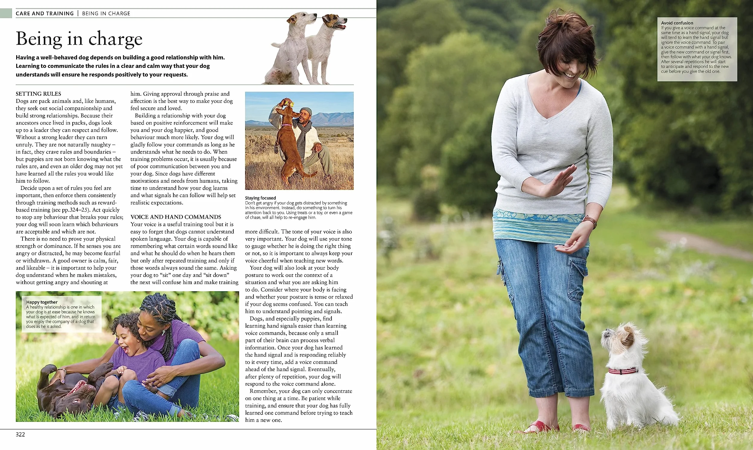 The Dog Encyclopedia: The Definitive Visual Guide