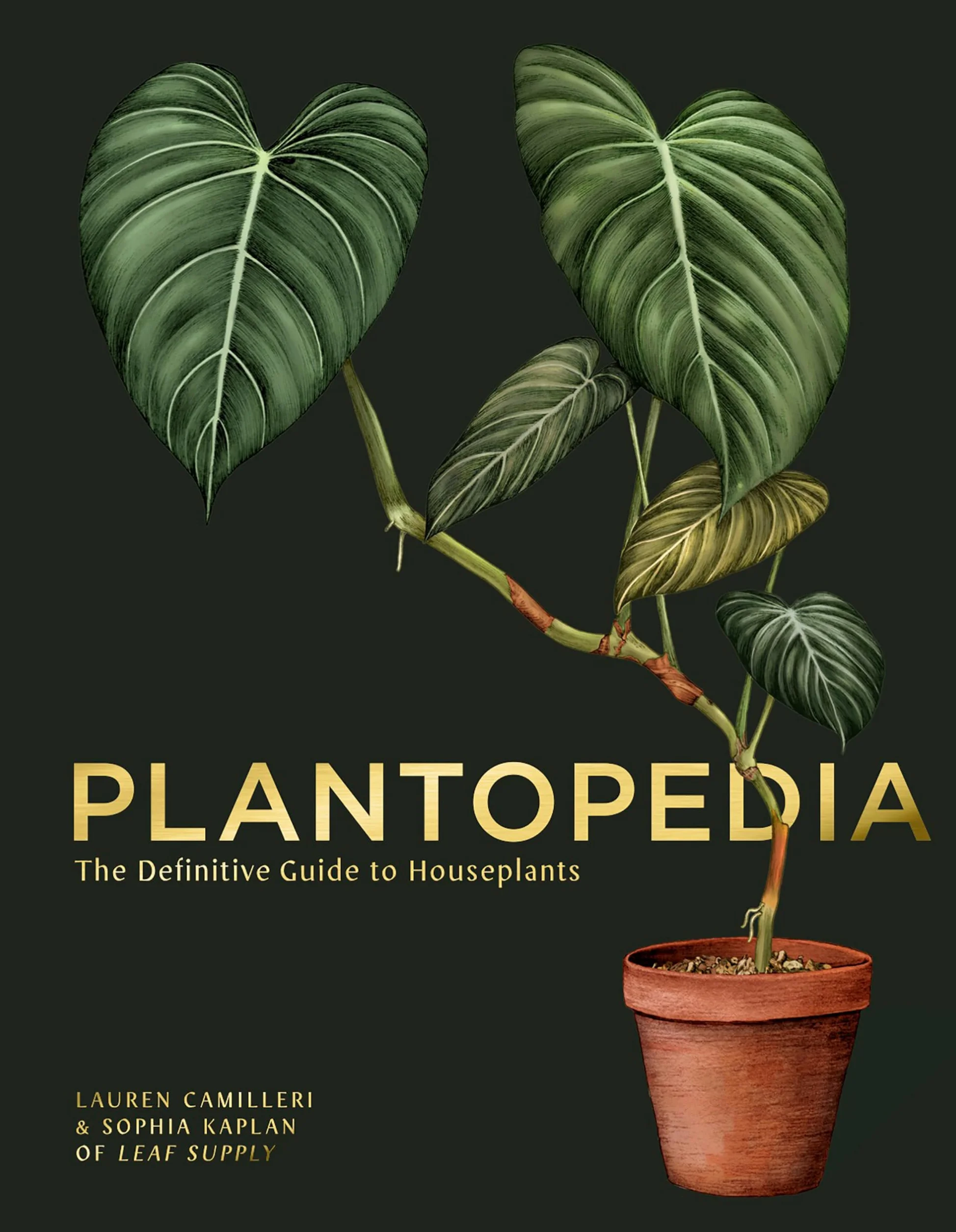 Plantopedia: The Definitive Guide to House Plants /anglais