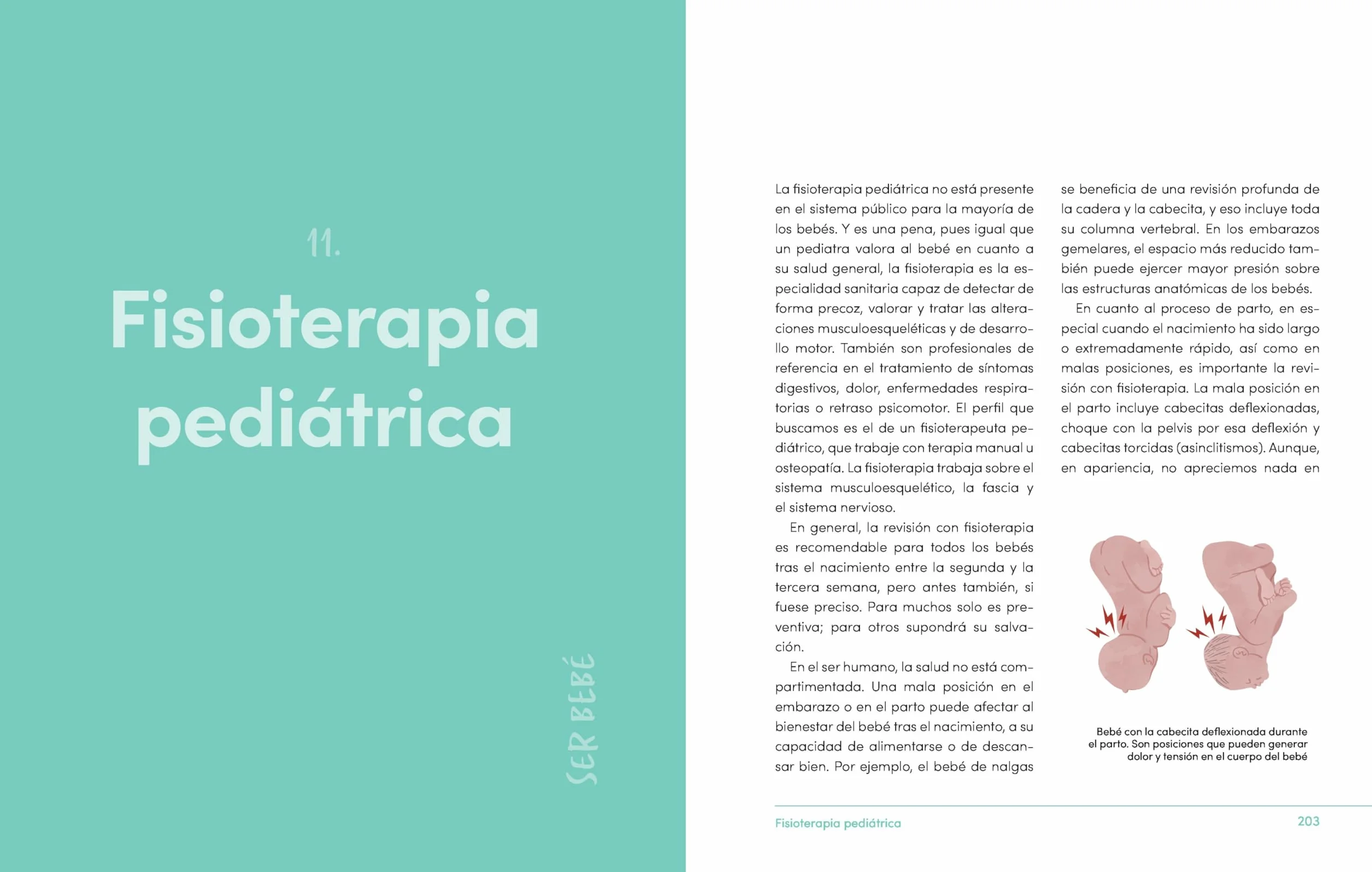 Ser Bebé Guía de Cuidados del Bebé Con Evidencia Y Mucha Emoción / Being a Baby: An Evidence-Based Care Guide