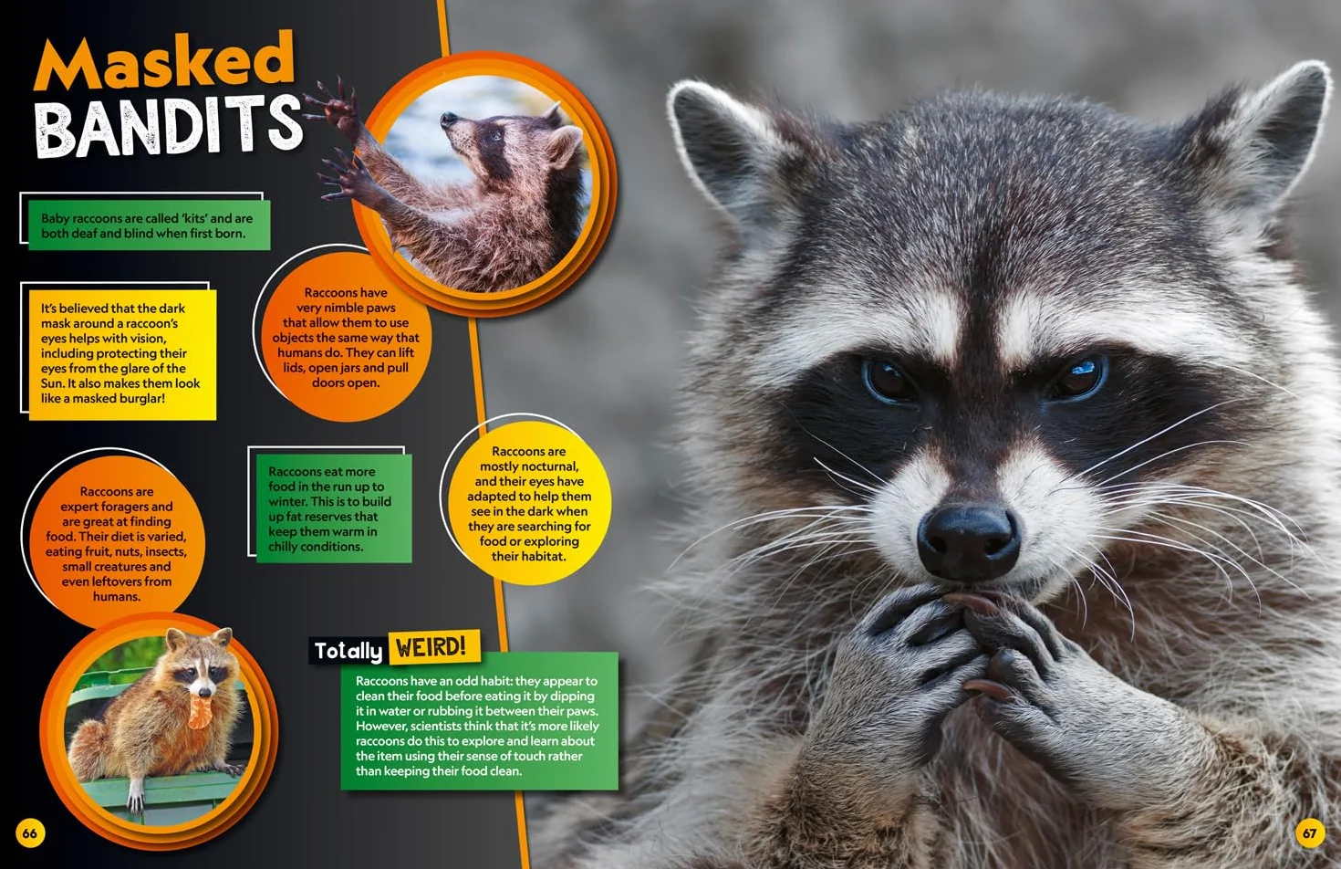 Weird but true! 2025: Discover weird, unbelievable facts and world records in this popular annual for the whole family