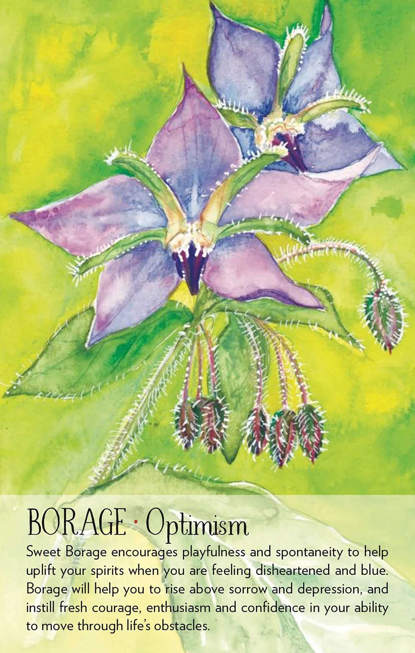 Soulflower Plant Spirit Oracle: 44-Card Deck and Guidebook
