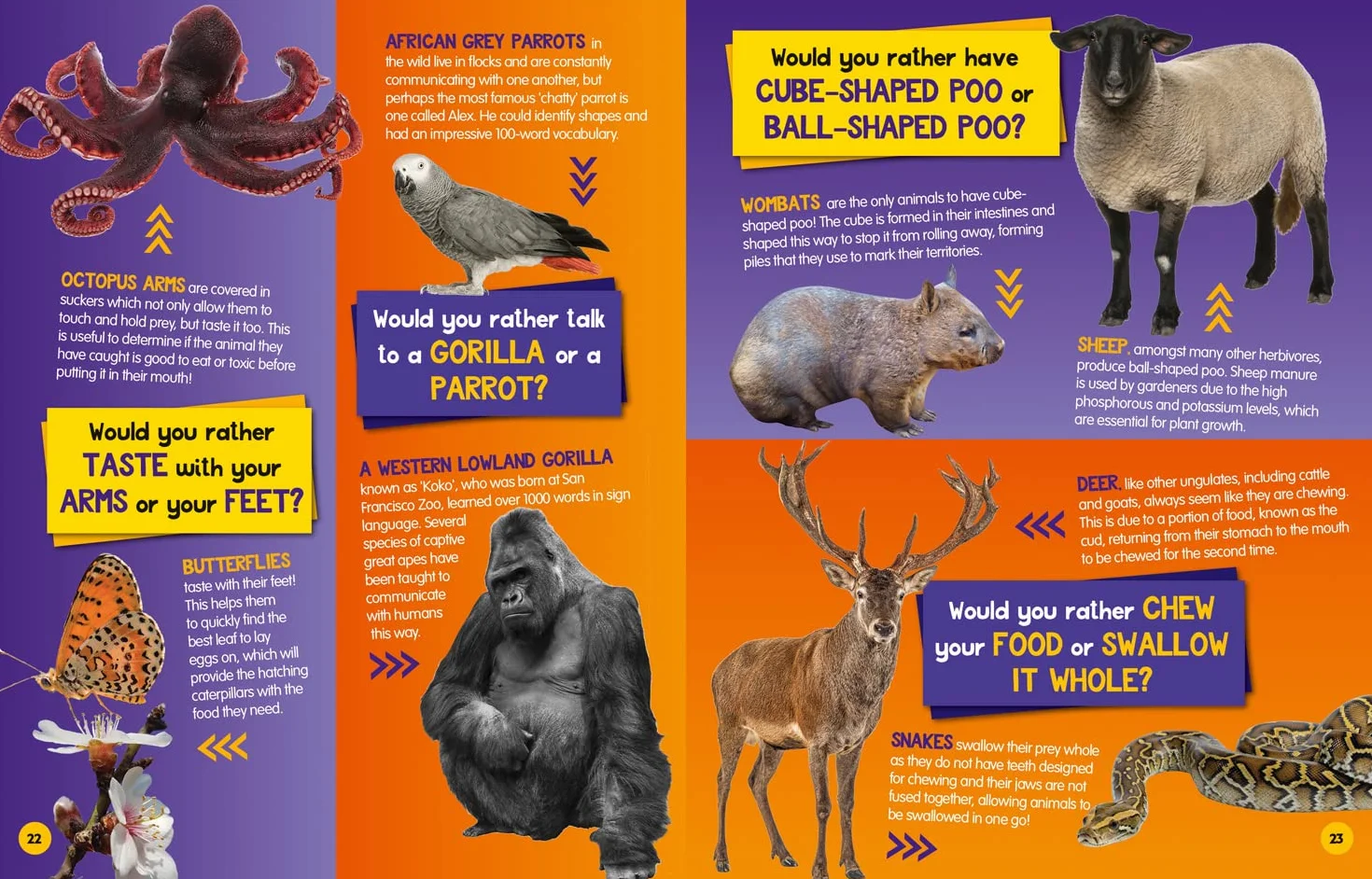 Would you rather? Animals: A fun-filled family game book