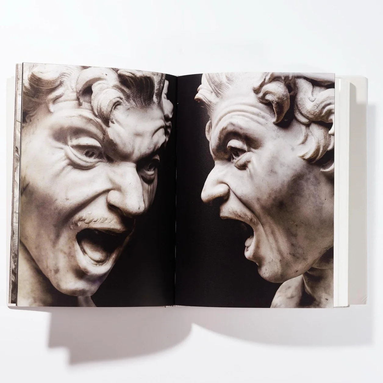Bernini. Catalogo delle sculture. Ediz. a colori