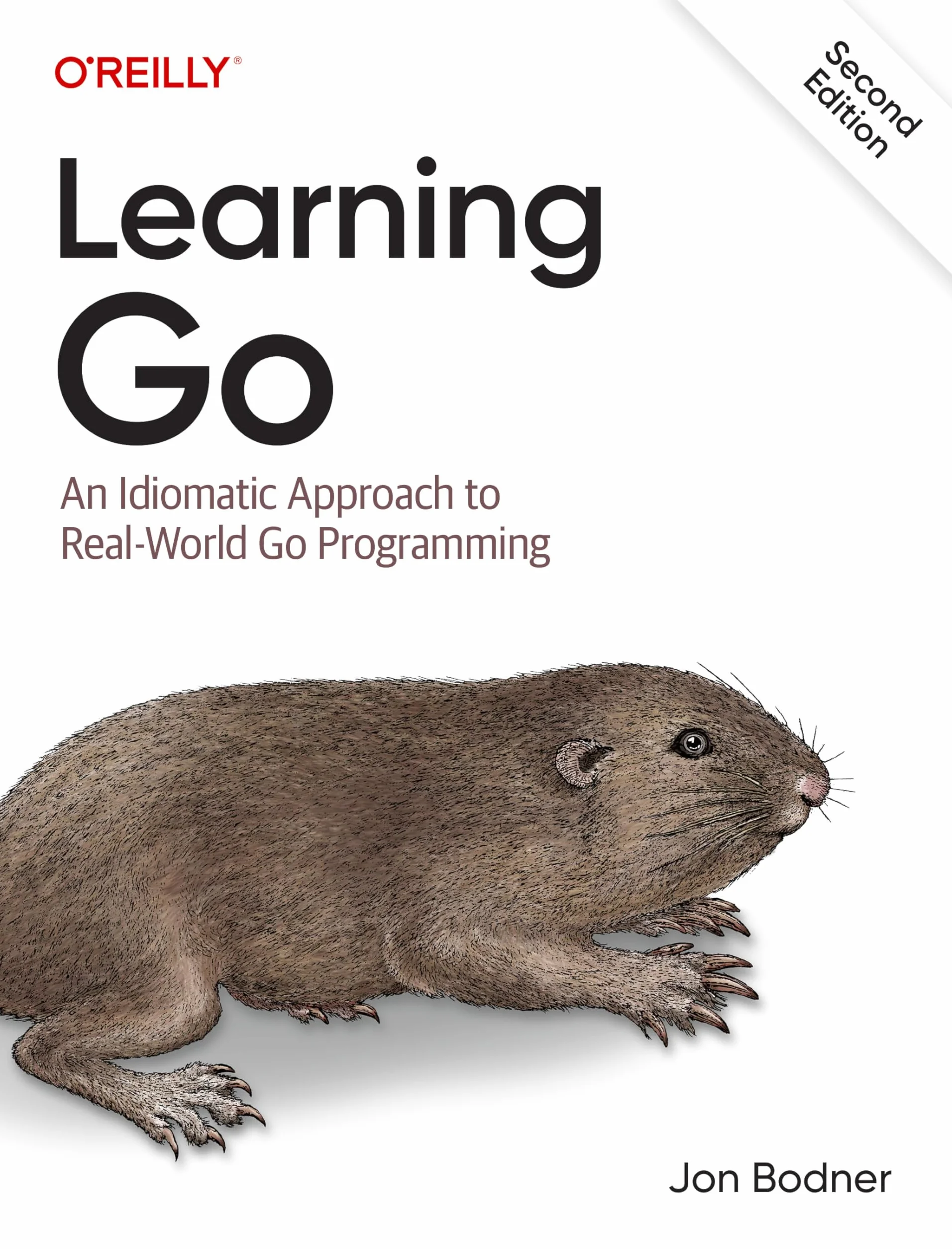 Learning Go: An Idiomatic Approach to Real-World Go Programming
