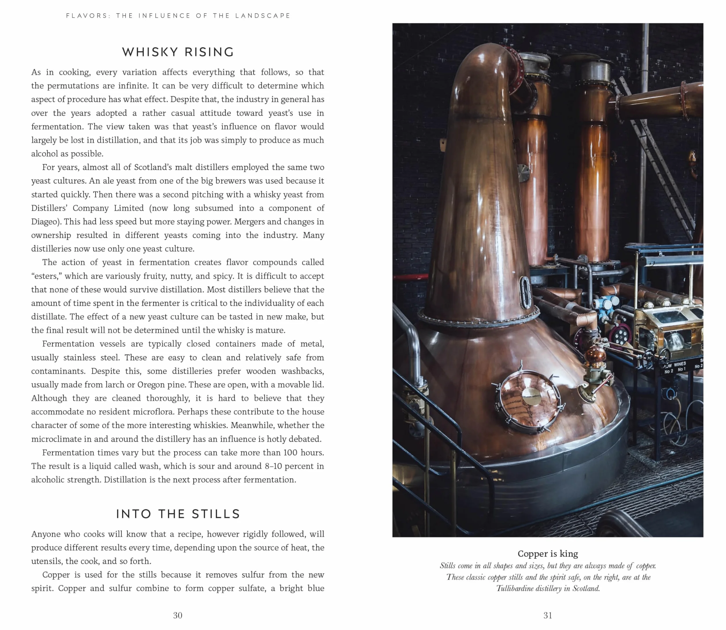 Michael Jackson's Complete Guide to Single Malt Scotch: The World's Best-selling Book on Malt Whisky