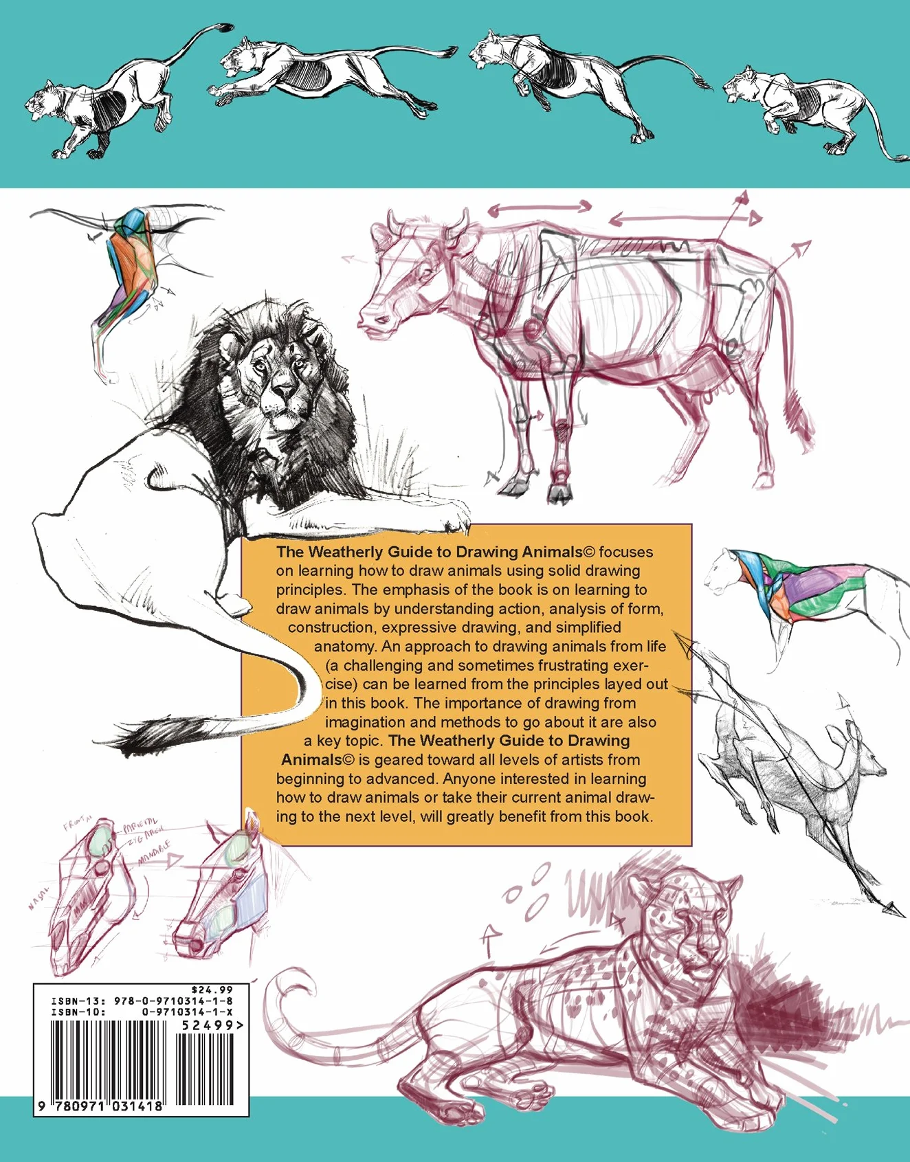 The Weatherly Guide to Drawing Animals