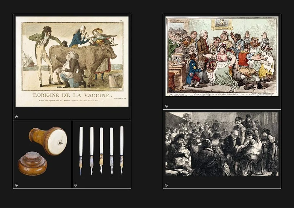 The Sick Rose Disease and the Art of Medical Illustration /anglais