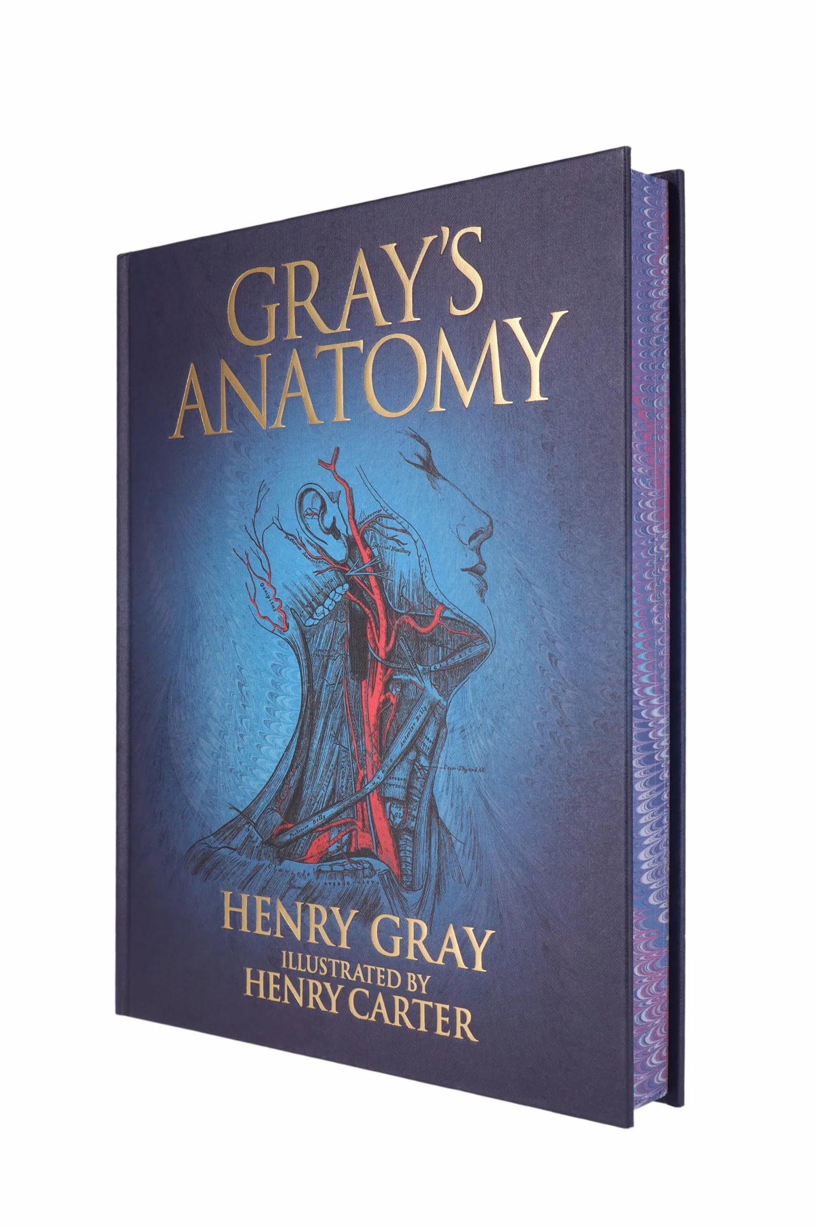 Gray's Anatomy