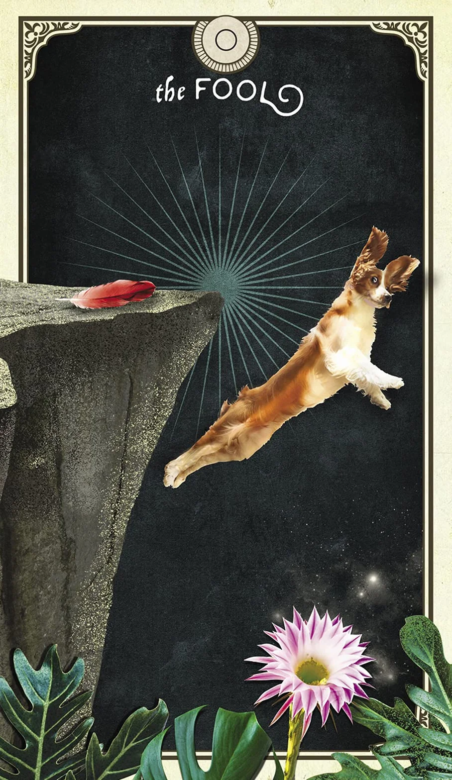 The Tarot of Curious Creatures: A 78 (+1) Card Deck and Guidebook