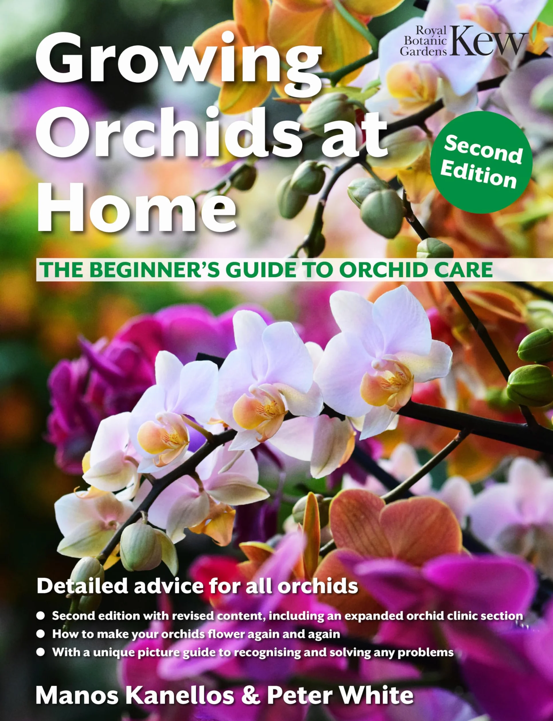 Growing Orchids at Home: The Beginner's Guide to Orchid Care