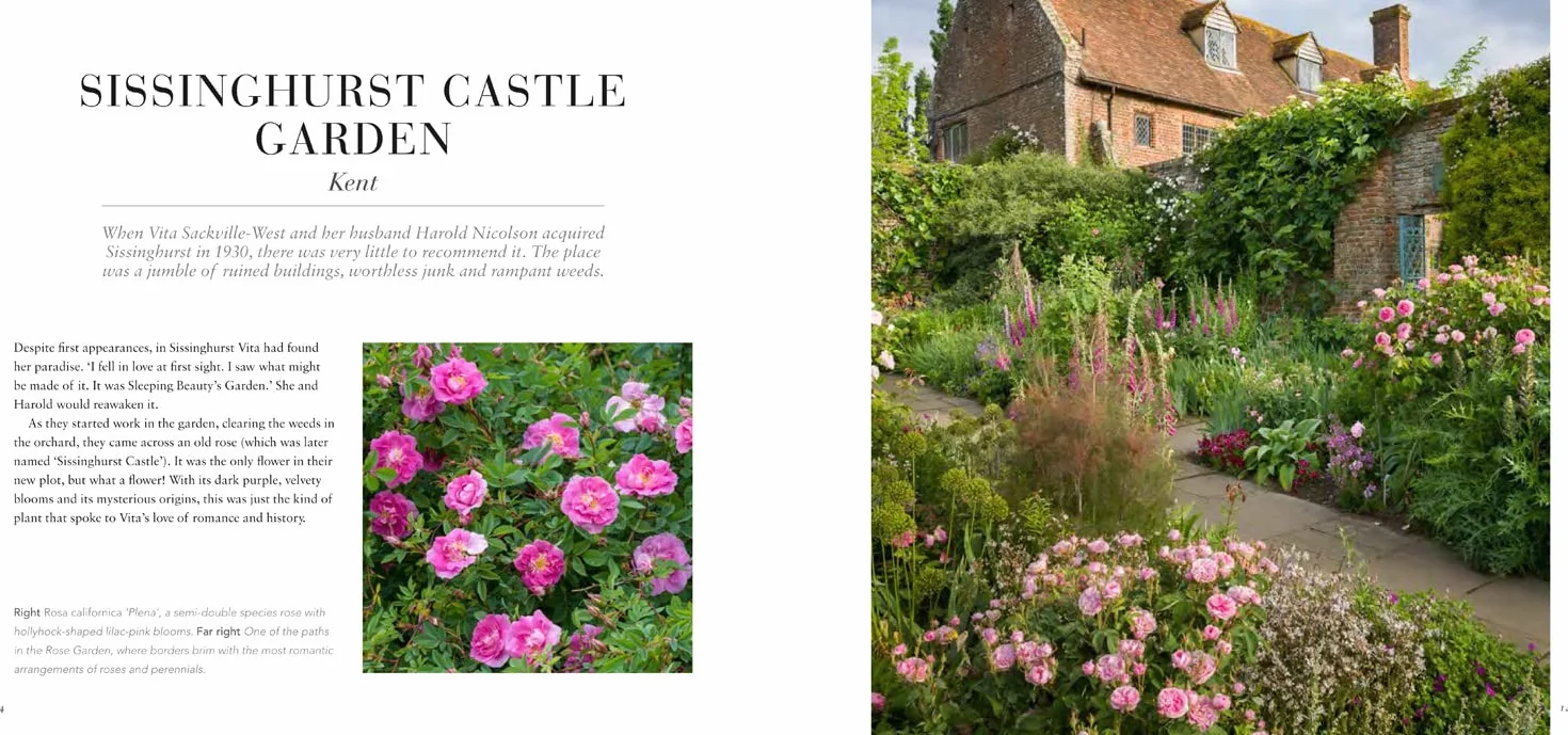 Roses and Rose Gardens