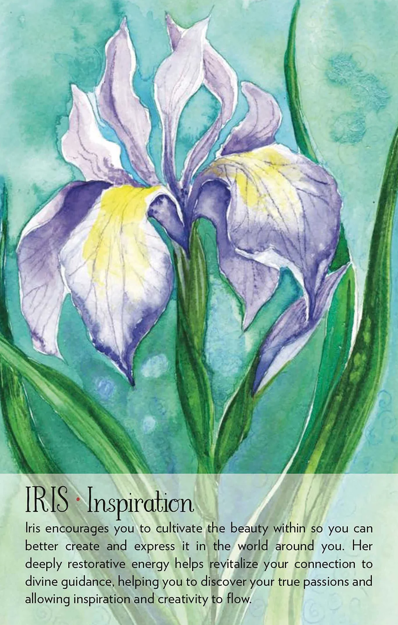 Soulflower Plant Spirit Oracle: 44-Card Deck and Guidebook