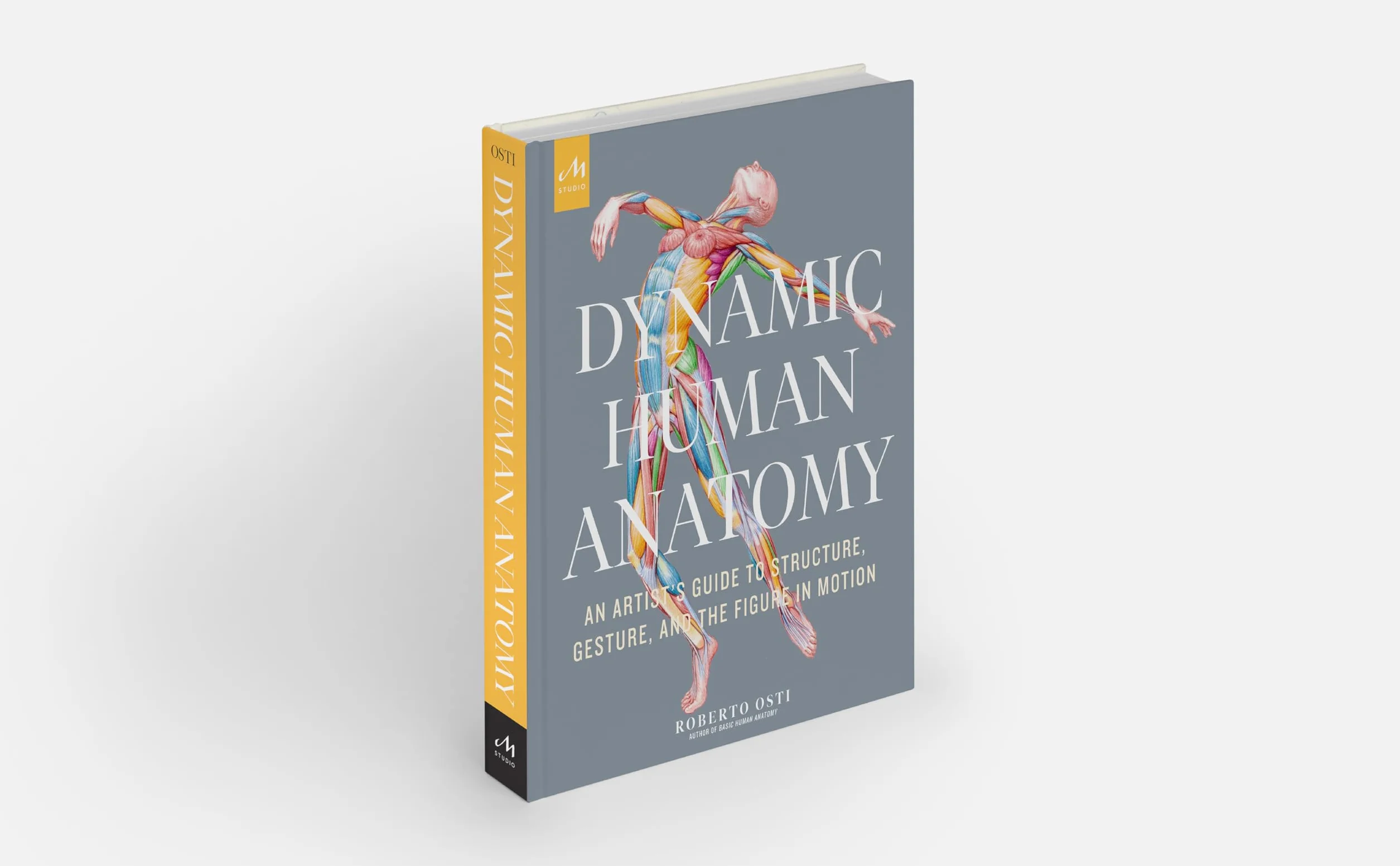 Dynamic Human Anatomy: An Artist's Guide to Structure, Gesture, and the Figure in Motion