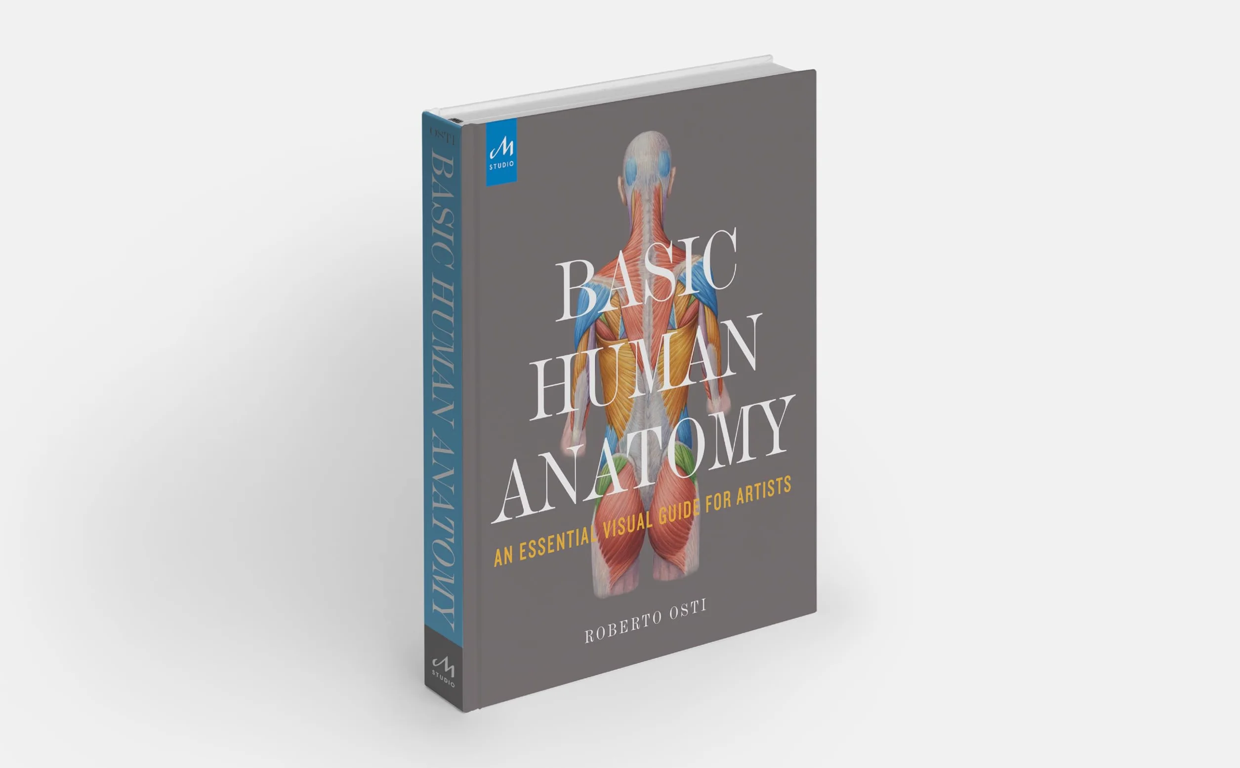 Basic Human Anatomy: An Essential Visual Guide for Artists