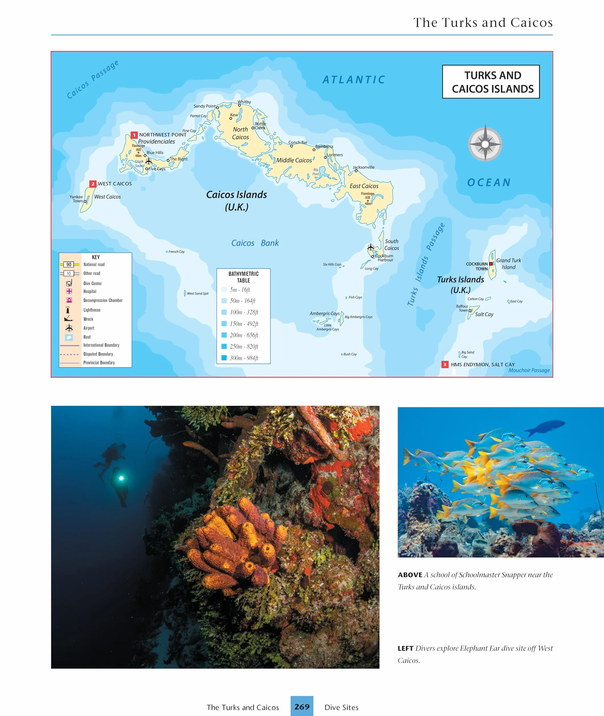 Dive Atlas of the World, Revised and Expanded Edition: An Illustrated Reference to the Best Sites