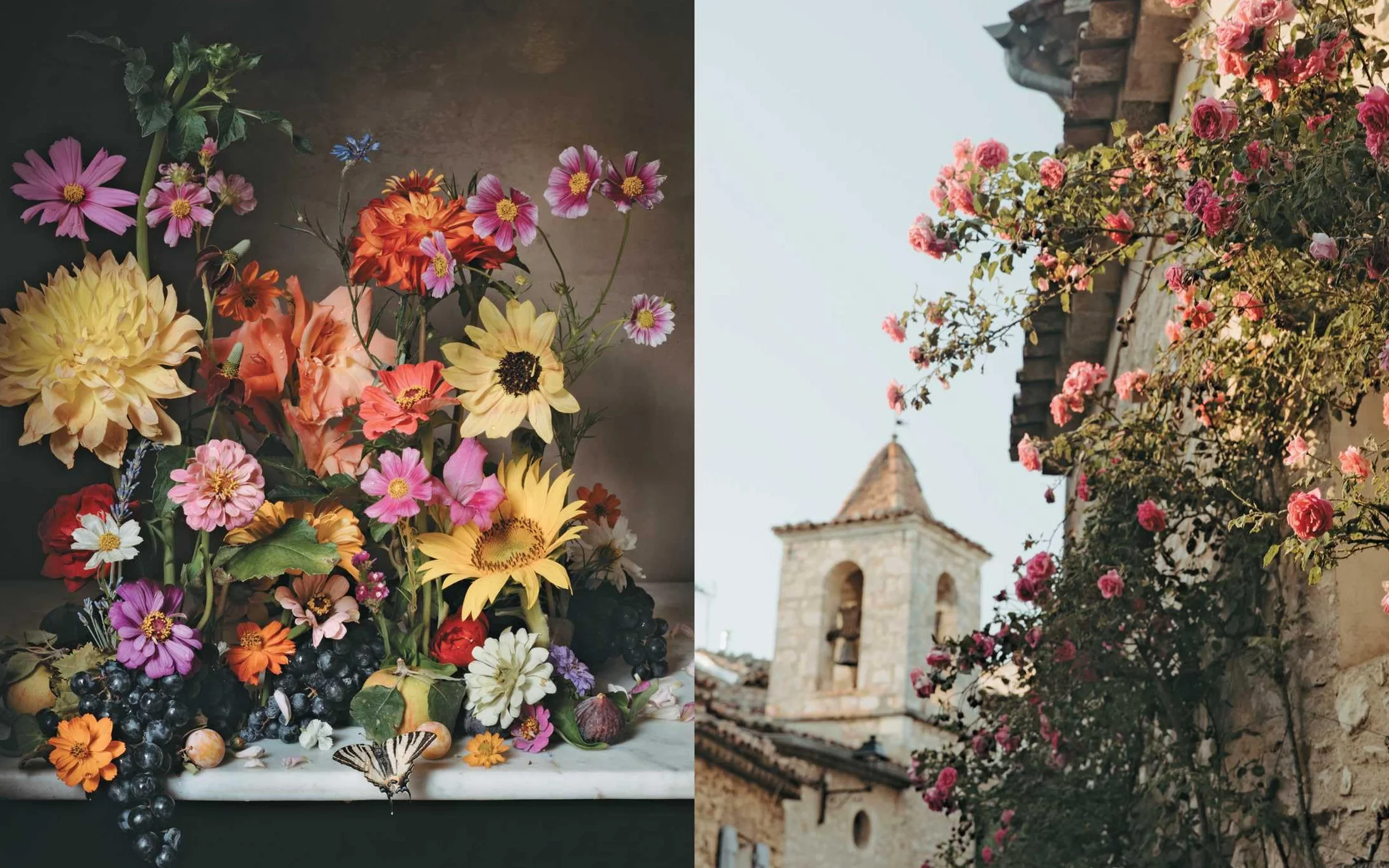 The Flowers of Provence