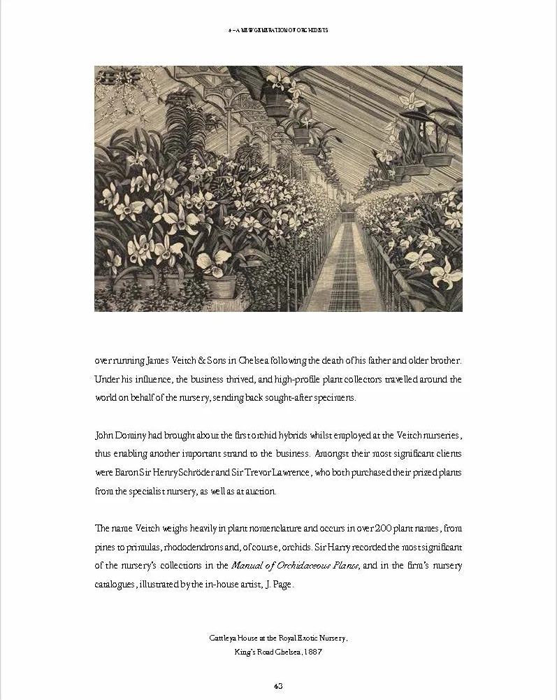 RHS Orchids /anglais: A History Through Botanical Illustration