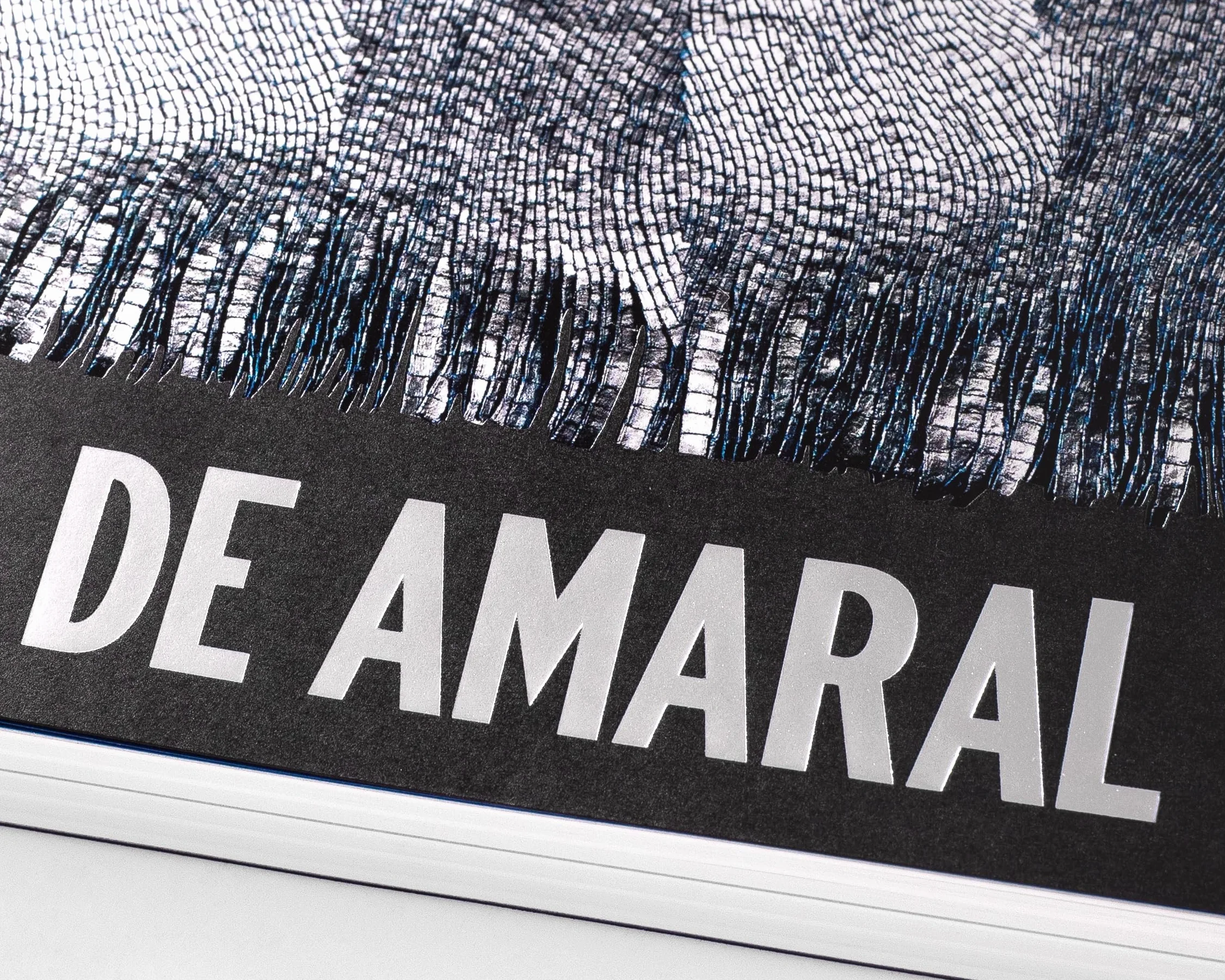 Olga de Amaral