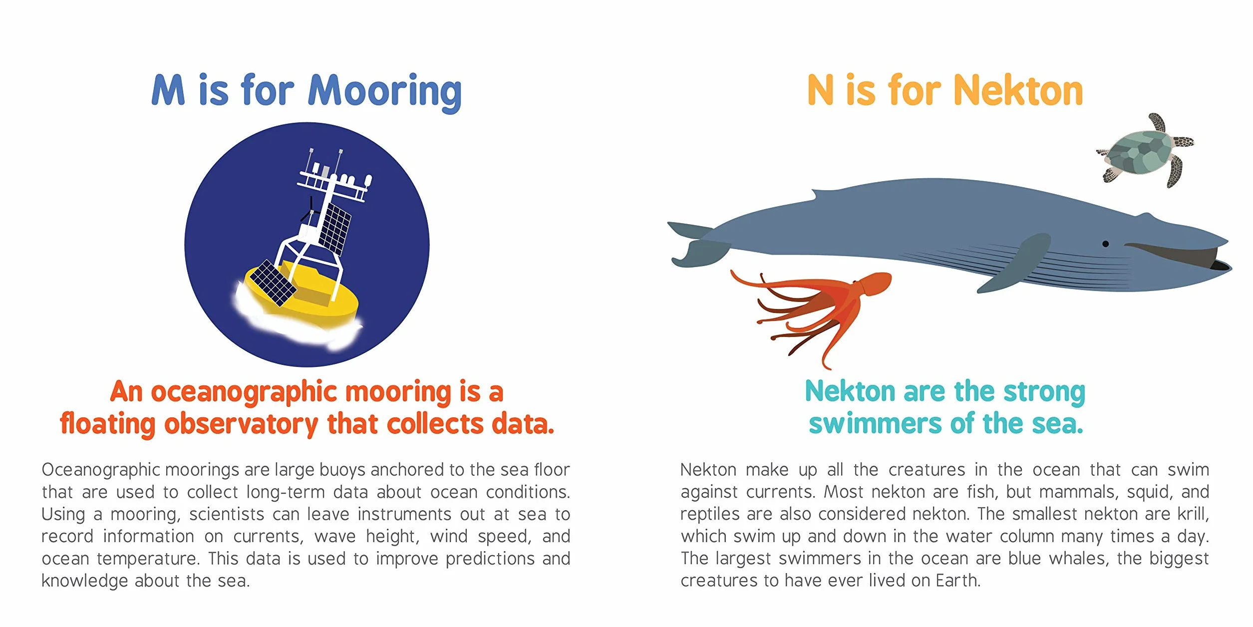 ABCs of Oceanography: 1 (Baby University)