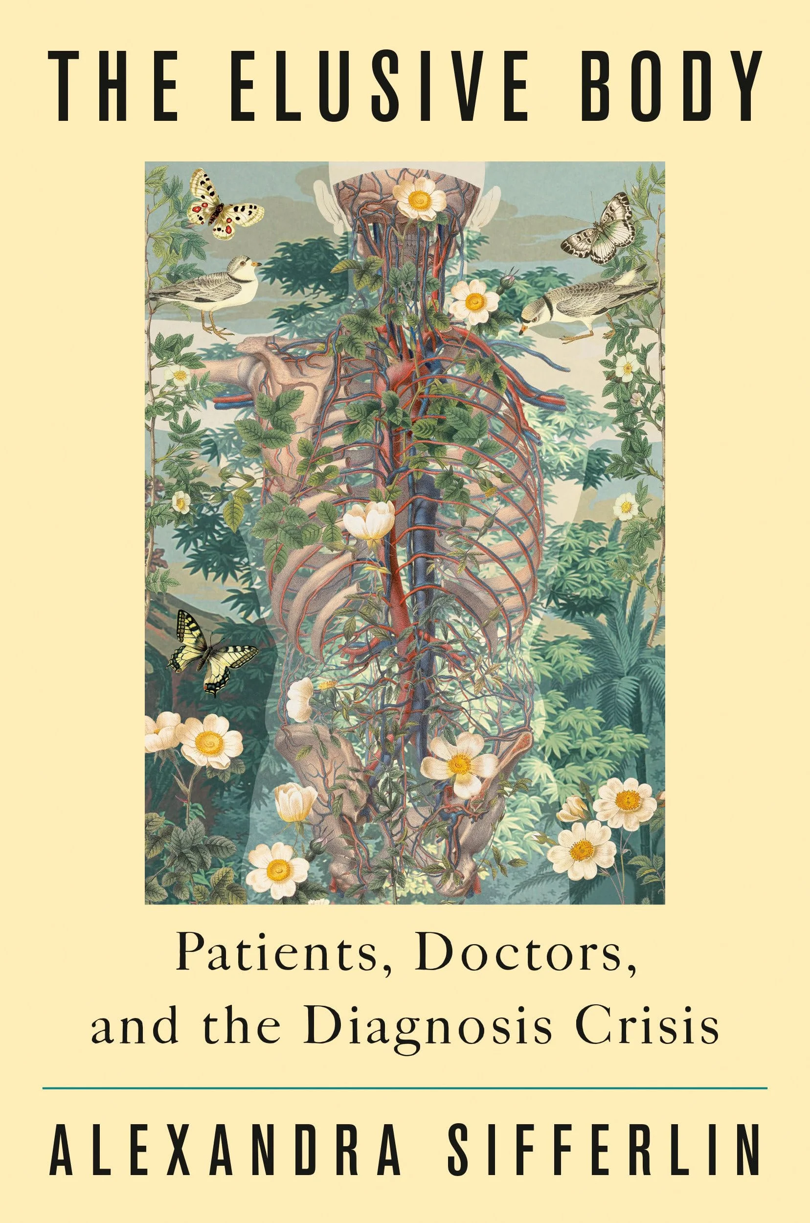 The Elusive Body: Patients, Doctors, and the Diagnosis Crisis