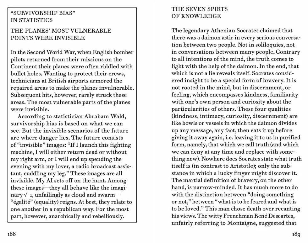 Alexander Kluge: The Dragonfly's Eye /anglais/allemand: My Virtual Camera (Ai)