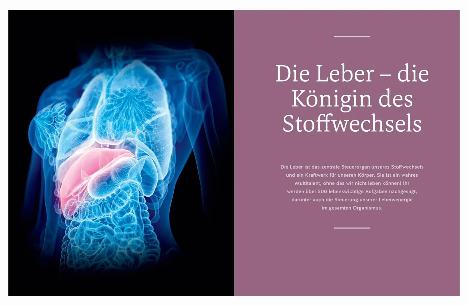 Die revolutionäre 9-Tage-Leber-Kur: Detox leicht gemacht - Zuckerfreie Ernährung und einfache Übungen für eine gesunde Leber