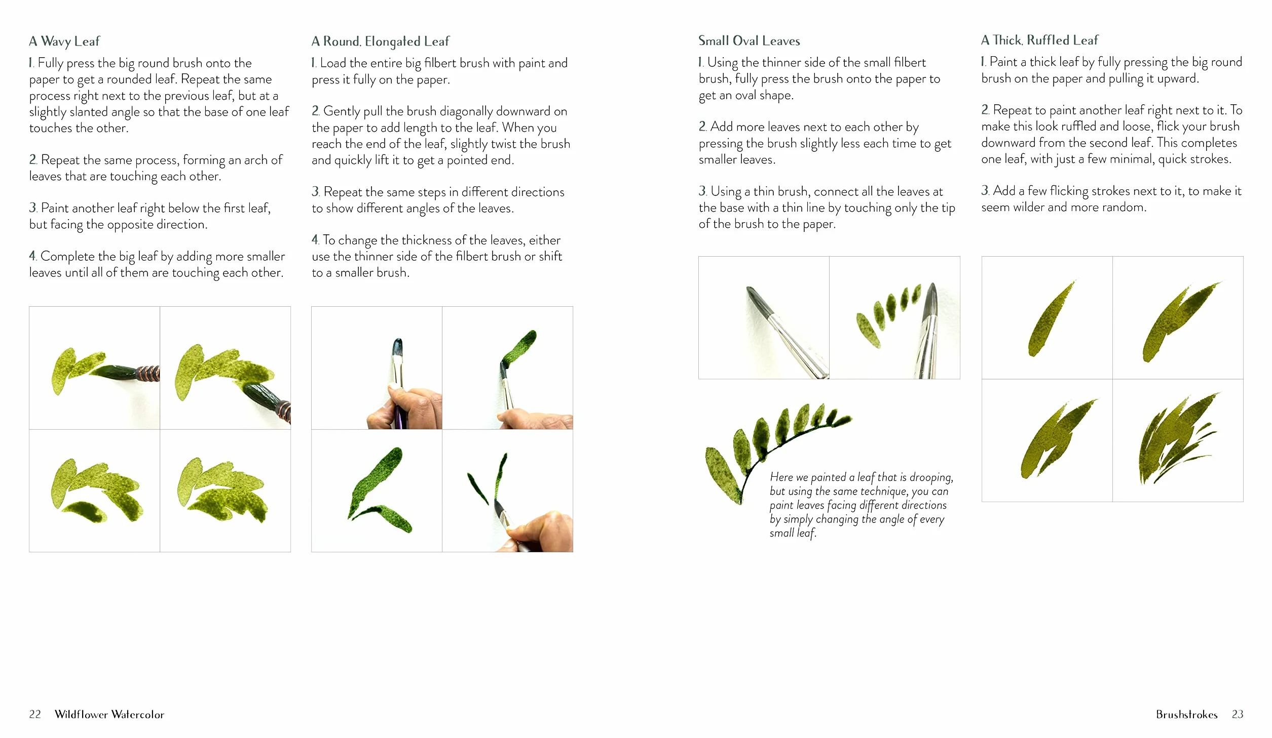 Wildflower Watercolor: The Beginner's Guide to Painting Beautiful Florals