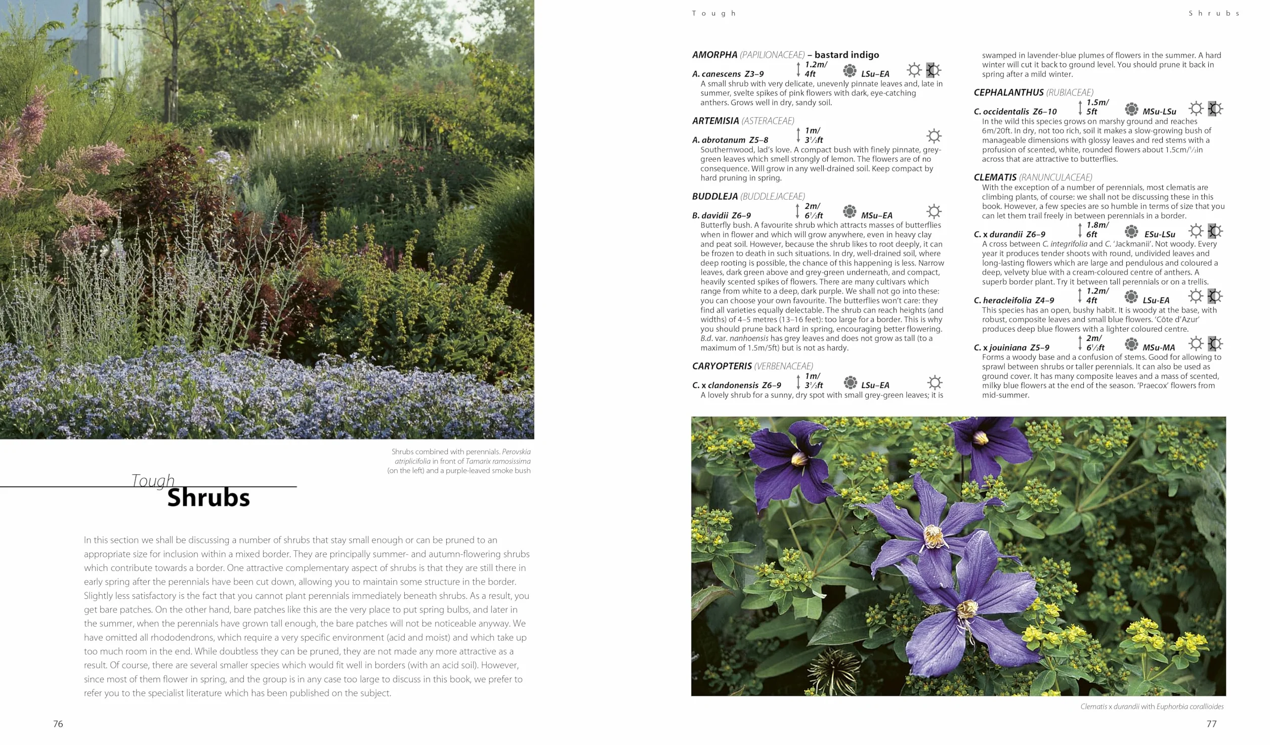 Dream Plants for the Natural Garden /anglais: Over 1,200 Beautiful and Reliable Plants for a Natural Garden