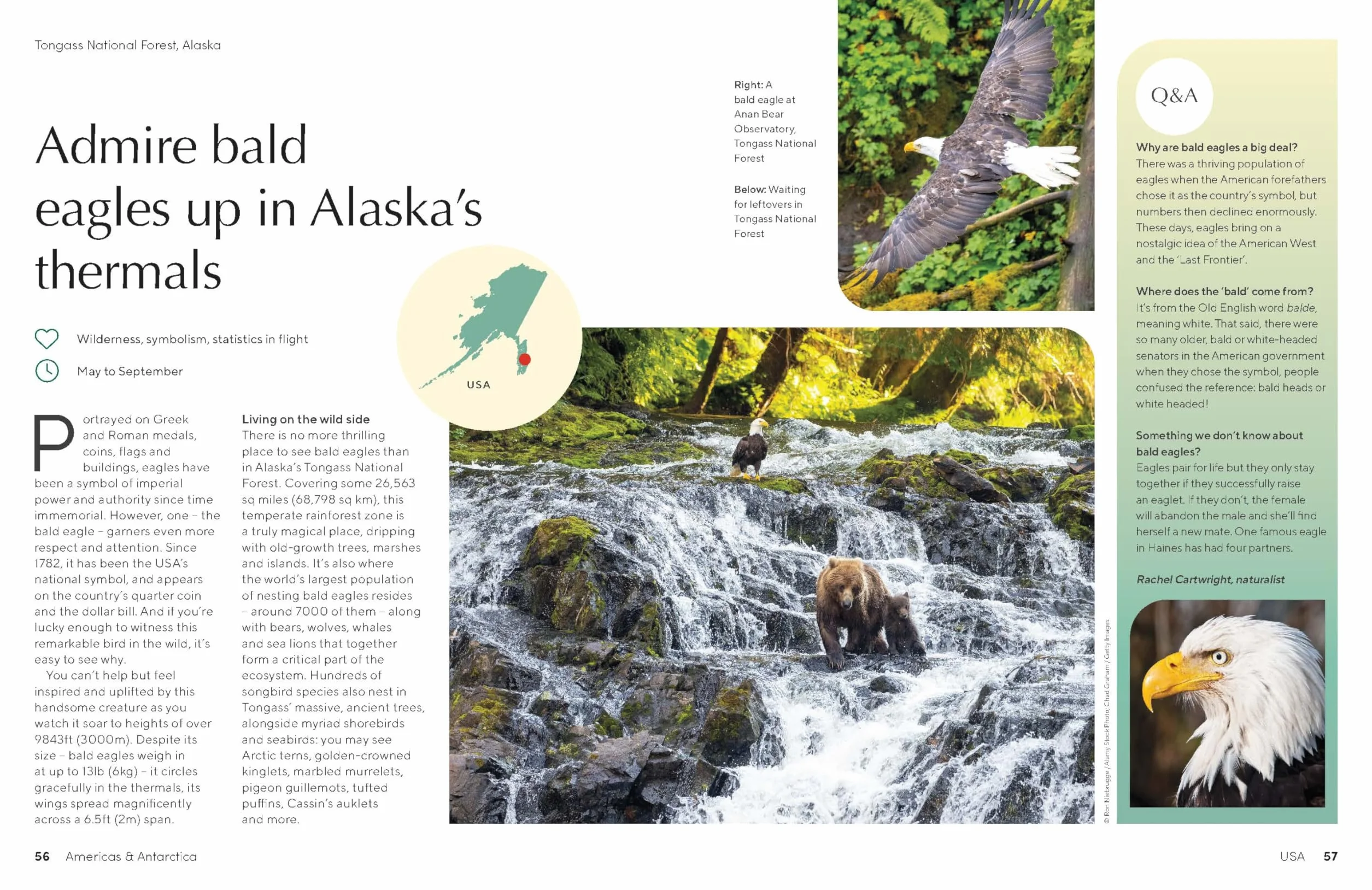 The Joy of Birdwatching - anglais: The World's Most Joyous Birding Adventures | Connect with Nature & Meet Remarkable Creatures | Packed with Tips on Where & When to Go