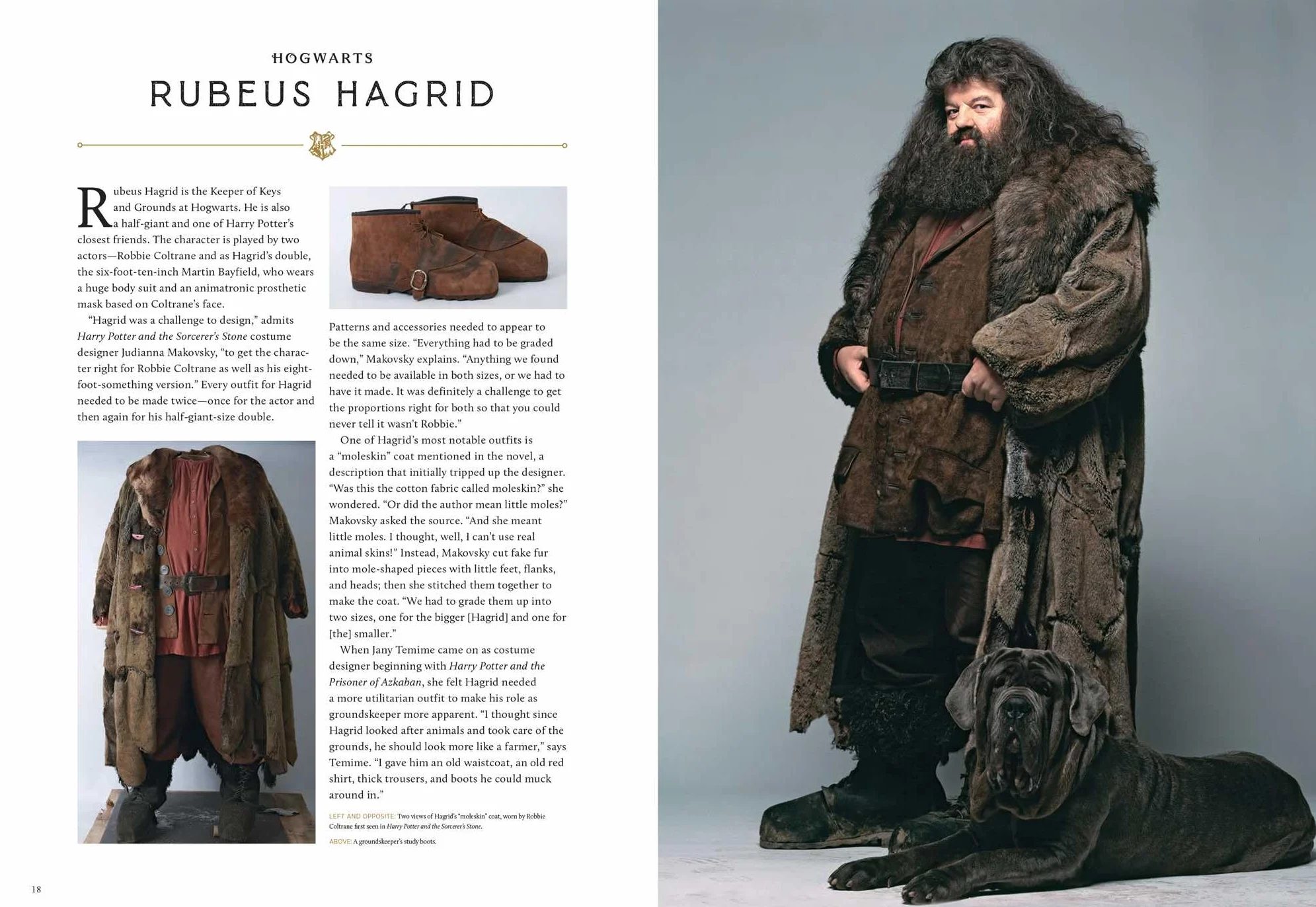 Harry Potter: Costumes of the Wizarding World