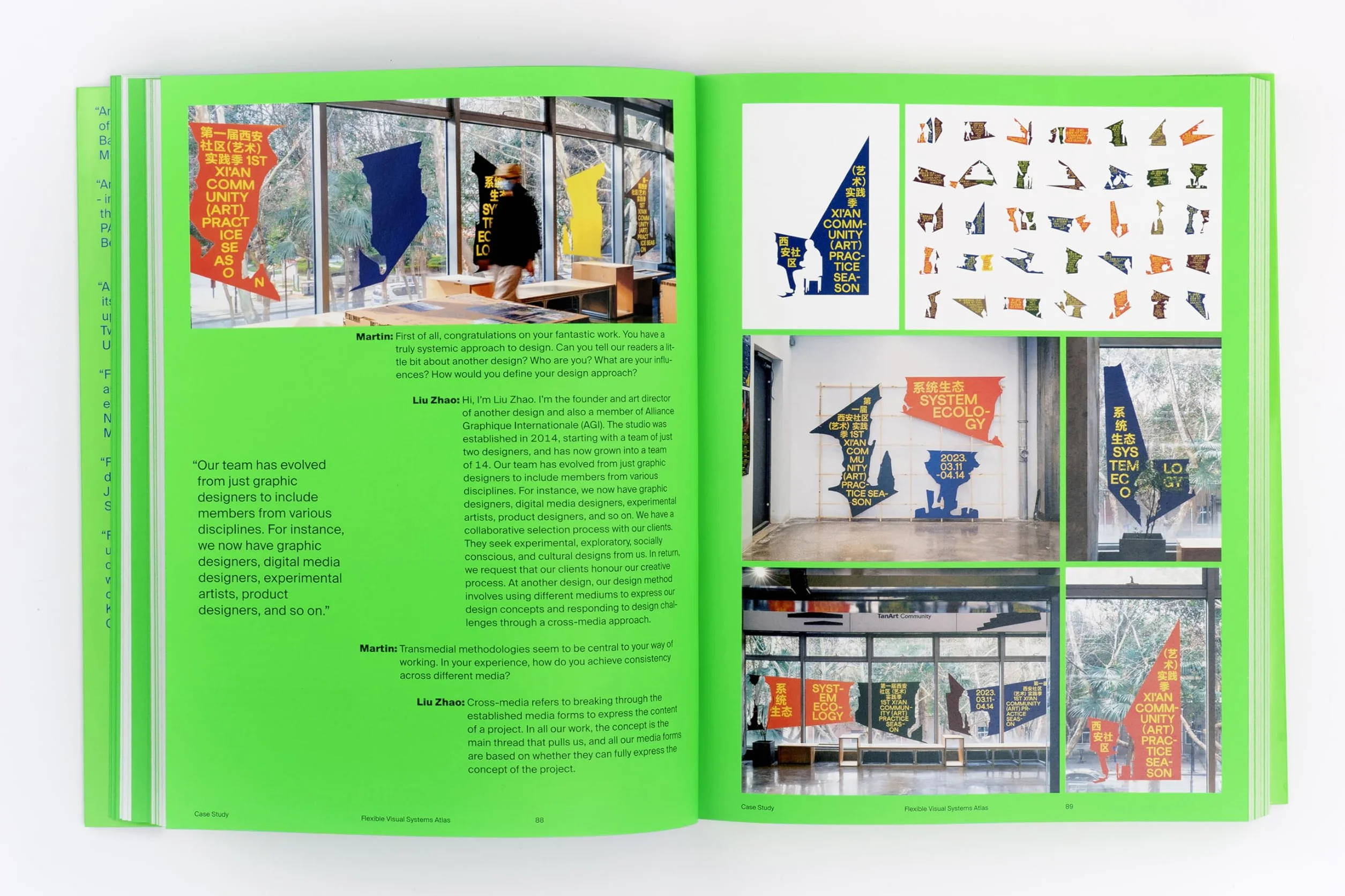 Flexible Visual Systems: The Fvs Atlas