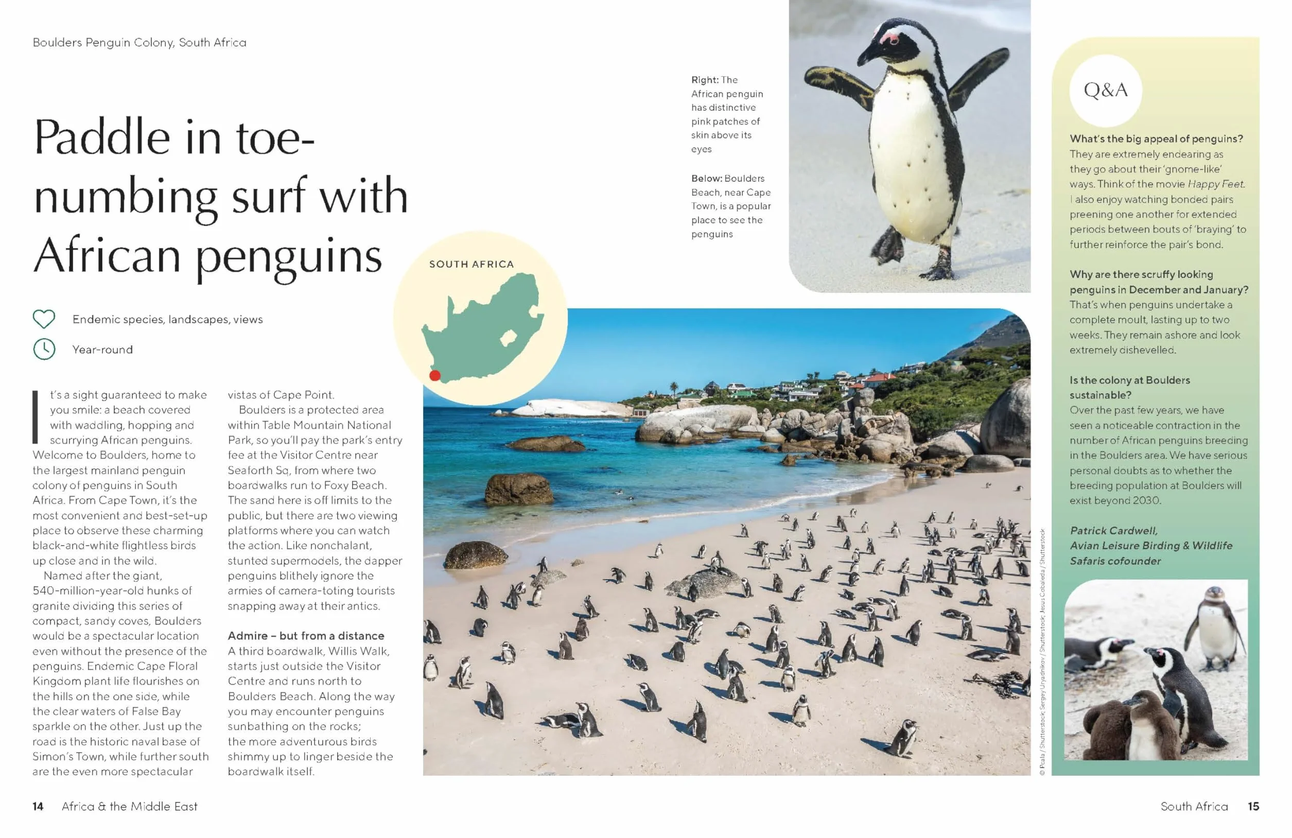 The Joy of Birdwatching - anglais: The World's Most Joyous Birding Adventures | Connect with Nature & Meet Remarkable Creatures | Packed with Tips on Where & When to Go