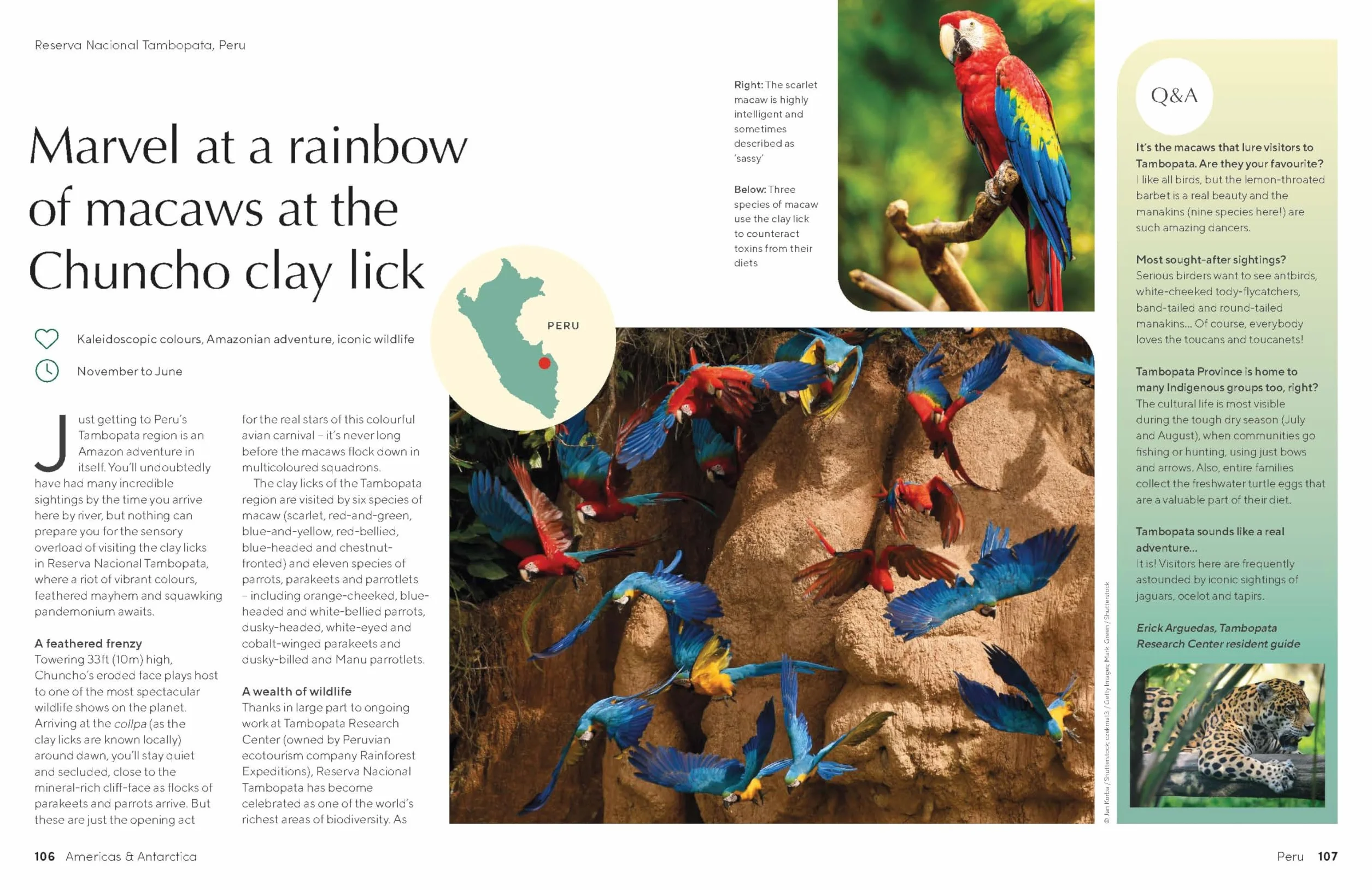 The Joy of Birdwatching - anglais: The World's Most Joyous Birding Adventures | Connect with Nature & Meet Remarkable Creatures | Packed with Tips on Where & When to Go
