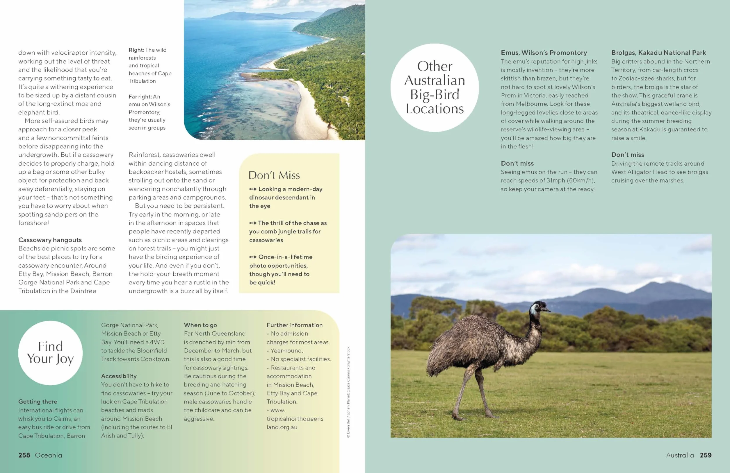 The Joy of Birdwatching - anglais: The World's Most Joyous Birding Adventures | Connect with Nature & Meet Remarkable Creatures | Packed with Tips on Where & When to Go