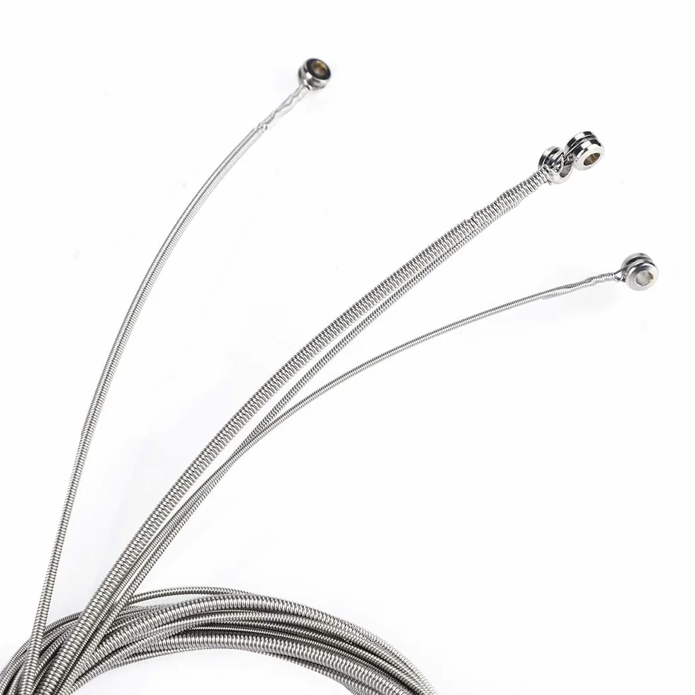 Zenithaura Electric Bass Strings, 5 szt. Akcesoria częściowe stali nierdzewnej dla gitarzystów