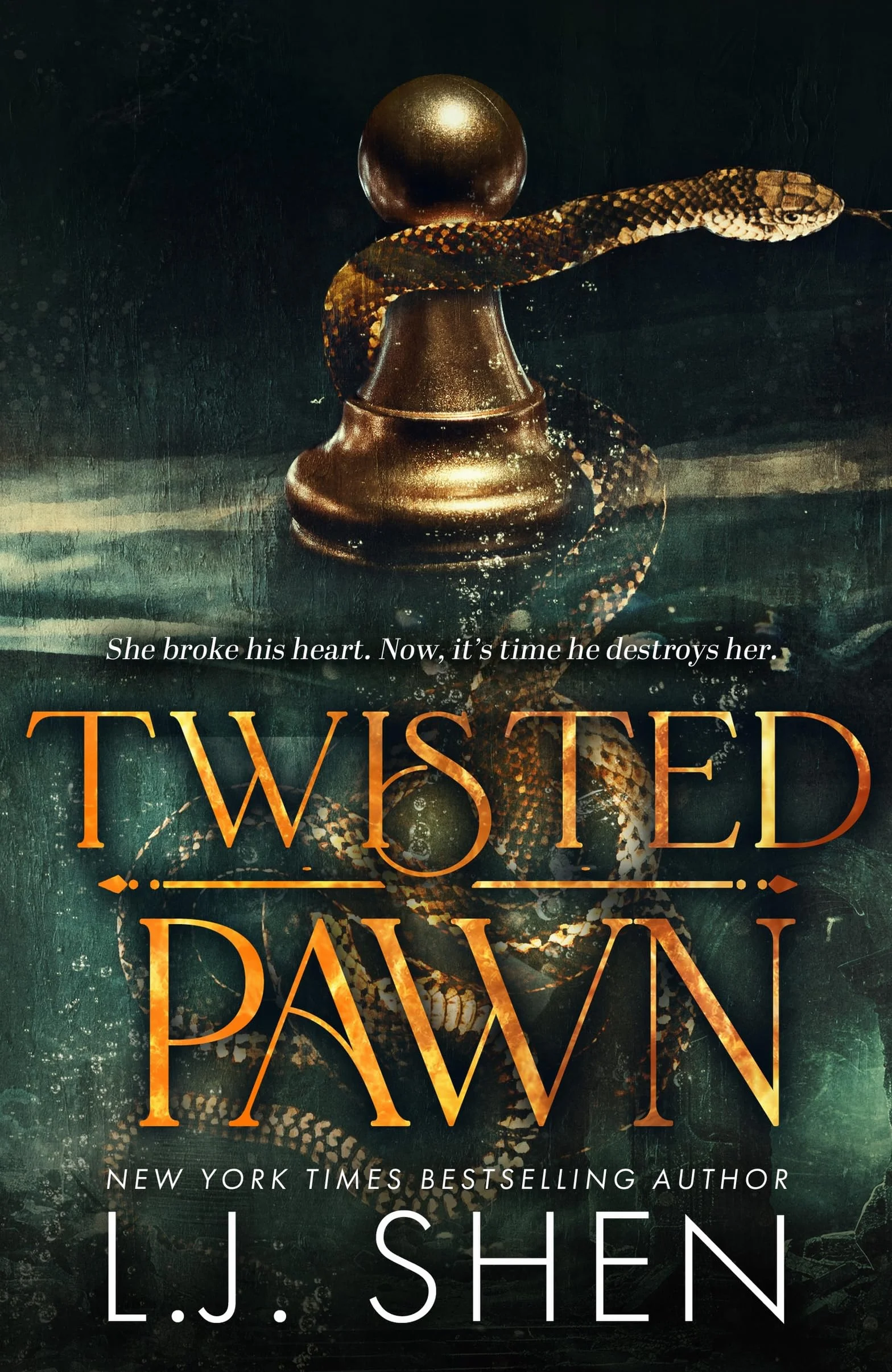 Twisted Pawn: Your new favourite dark and steamy romance series: 2