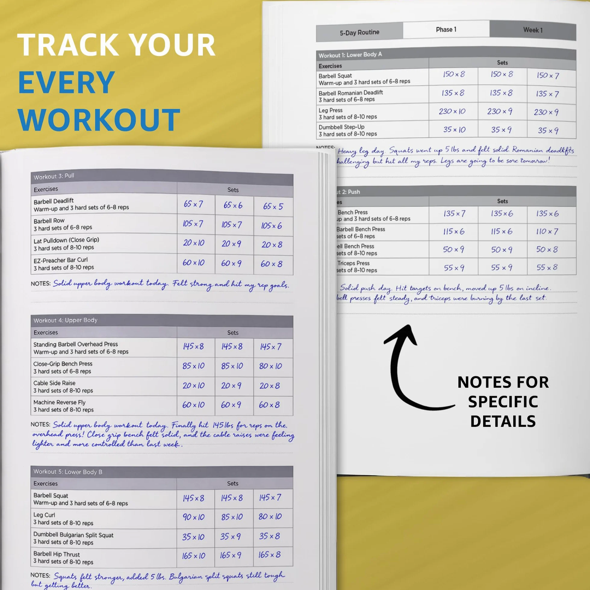 The Year One Challenge for Men: Bigger, Leaner, and Stronger Than Ever in 12 Months