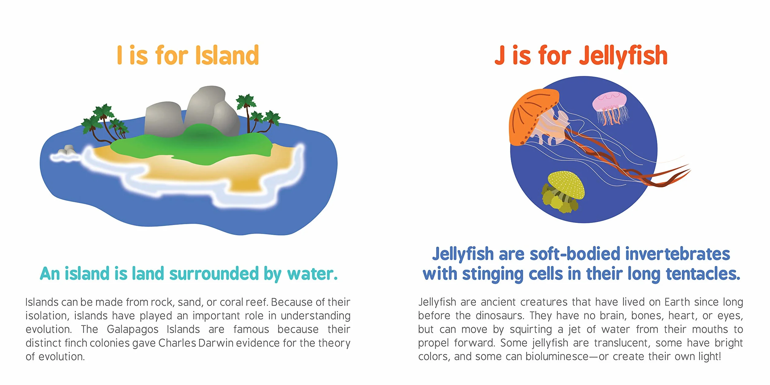 ABCs of Oceanography: 1 (Baby University)