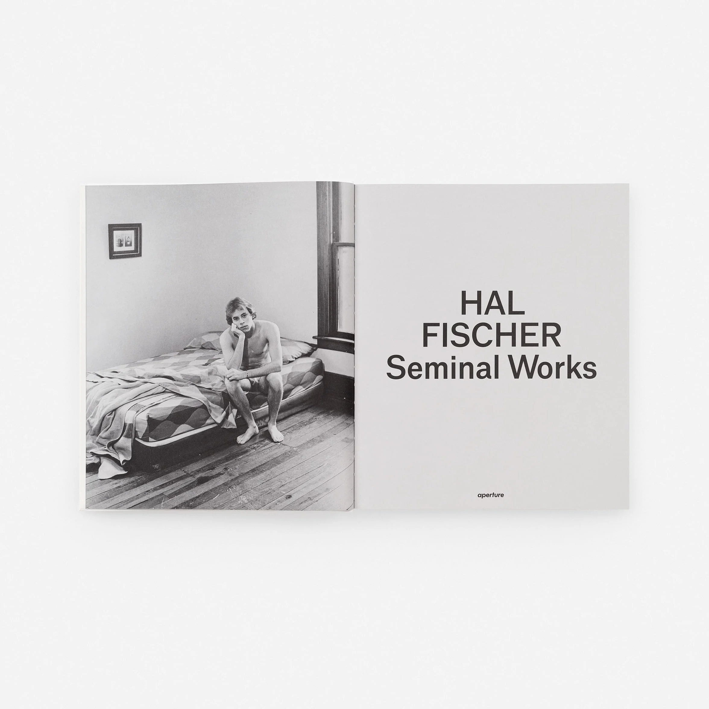 Hal Fischer Seminal Works /anglais