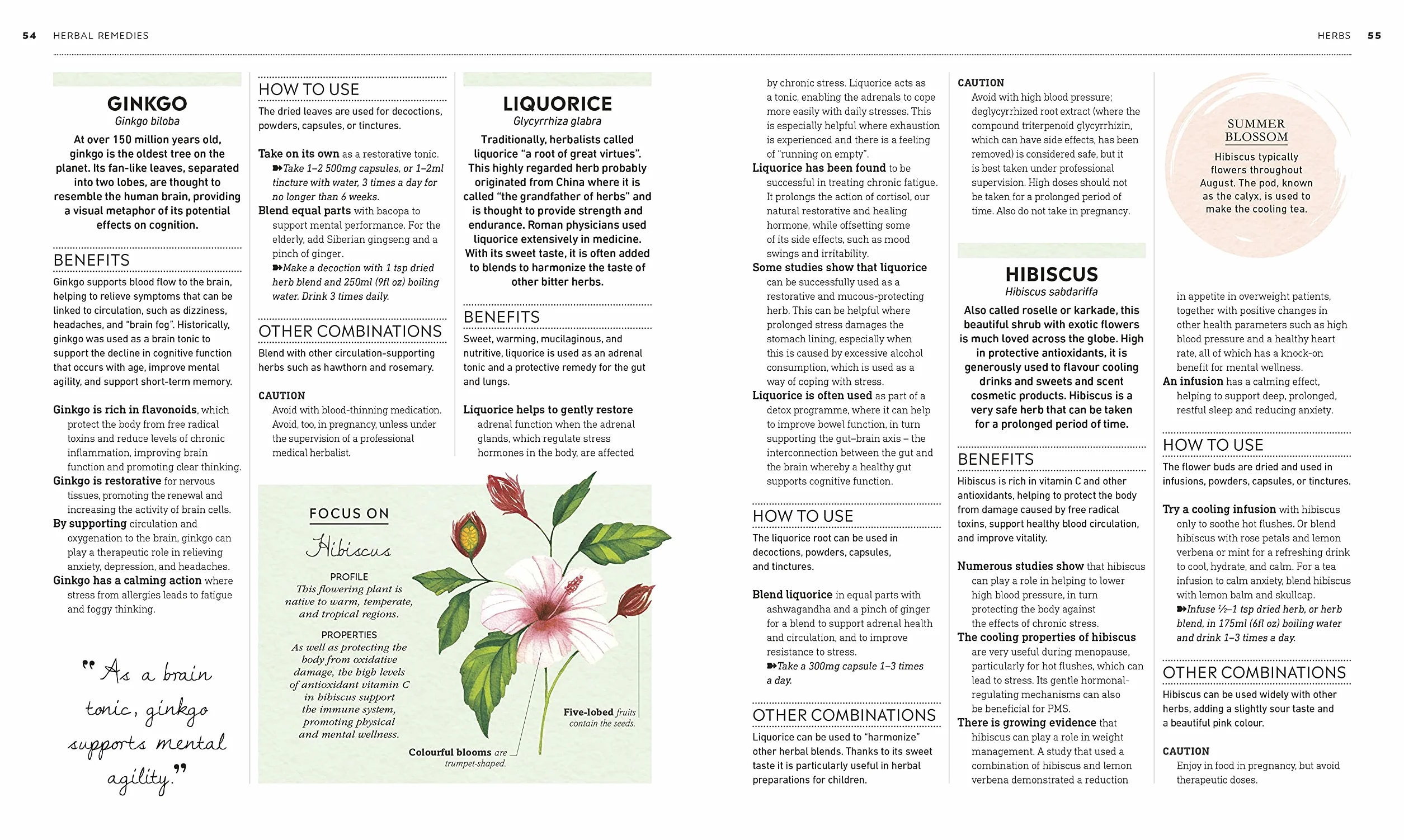 Neal's Yard Remedies Mental Wellness: A Holistic Approach To Mental Health And Healing. Natural Remedies, Foods, Lifestyle Strategies, Therapies
