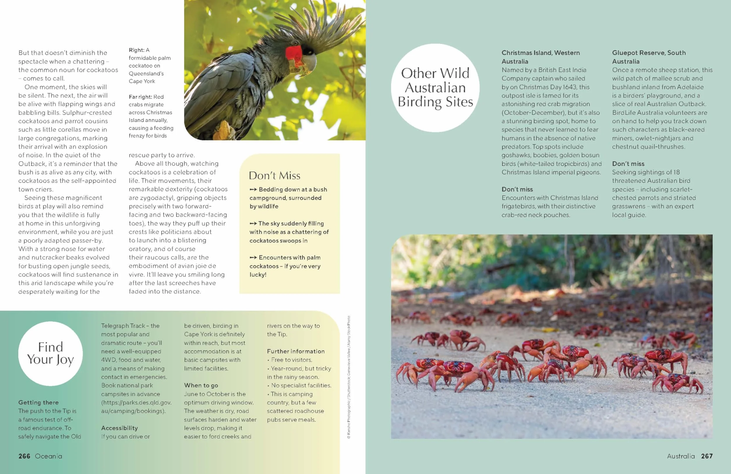The Joy of Birdwatching - anglais: The World's Most Joyous Birding Adventures | Connect with Nature & Meet Remarkable Creatures | Packed with Tips on Where & When to Go