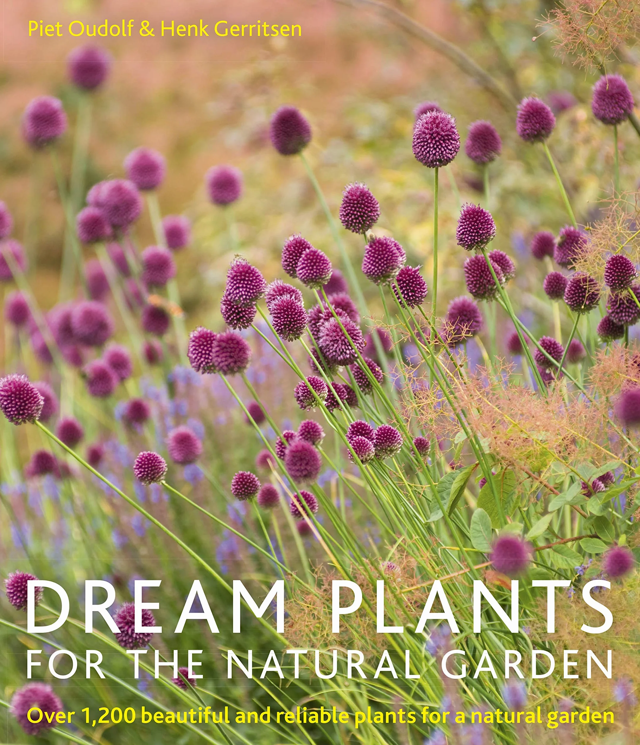 Dream Plants for the Natural Garden /anglais: Over 1,200 Beautiful and Reliable Plants for a Natural Garden