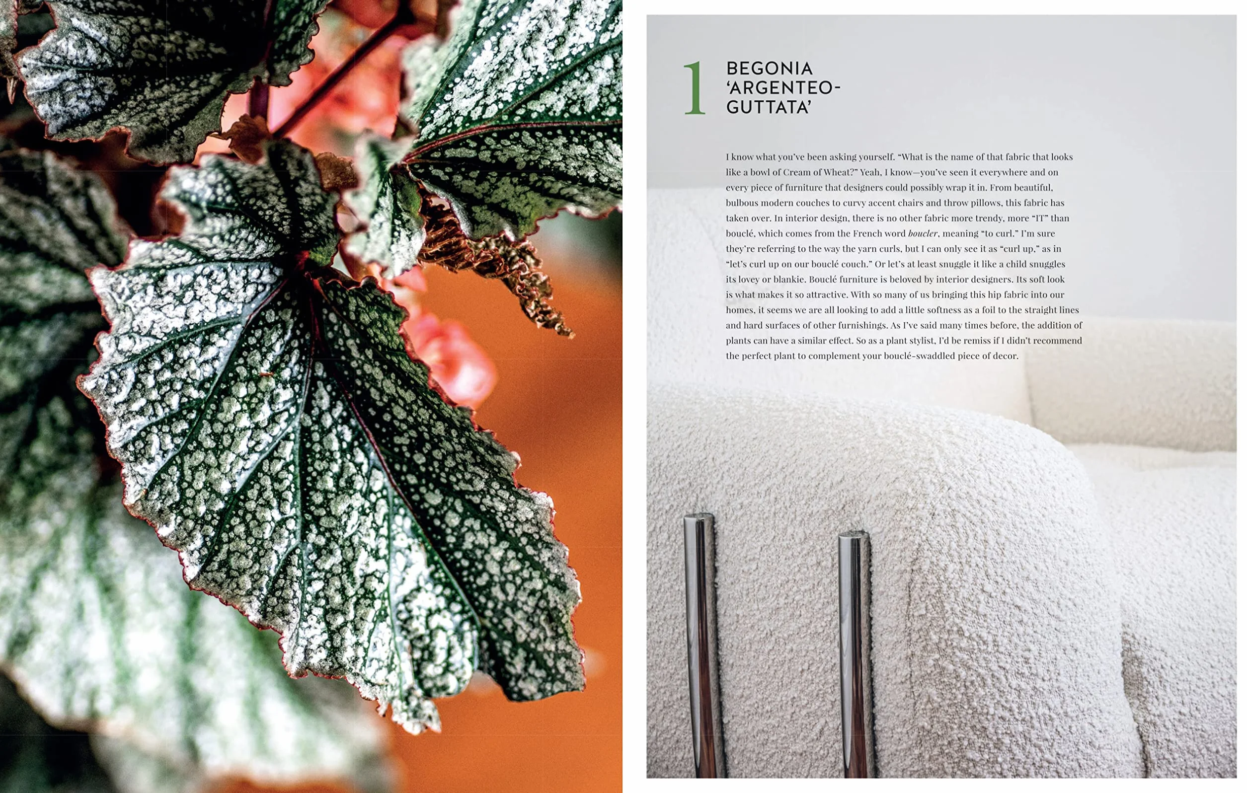Living Wild: How to Plant Style Your Home and Cultivate Happiness