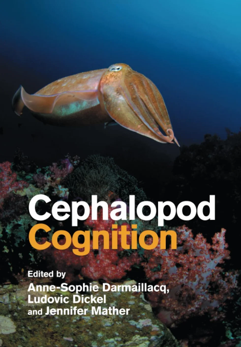 Cephalopod Cognition