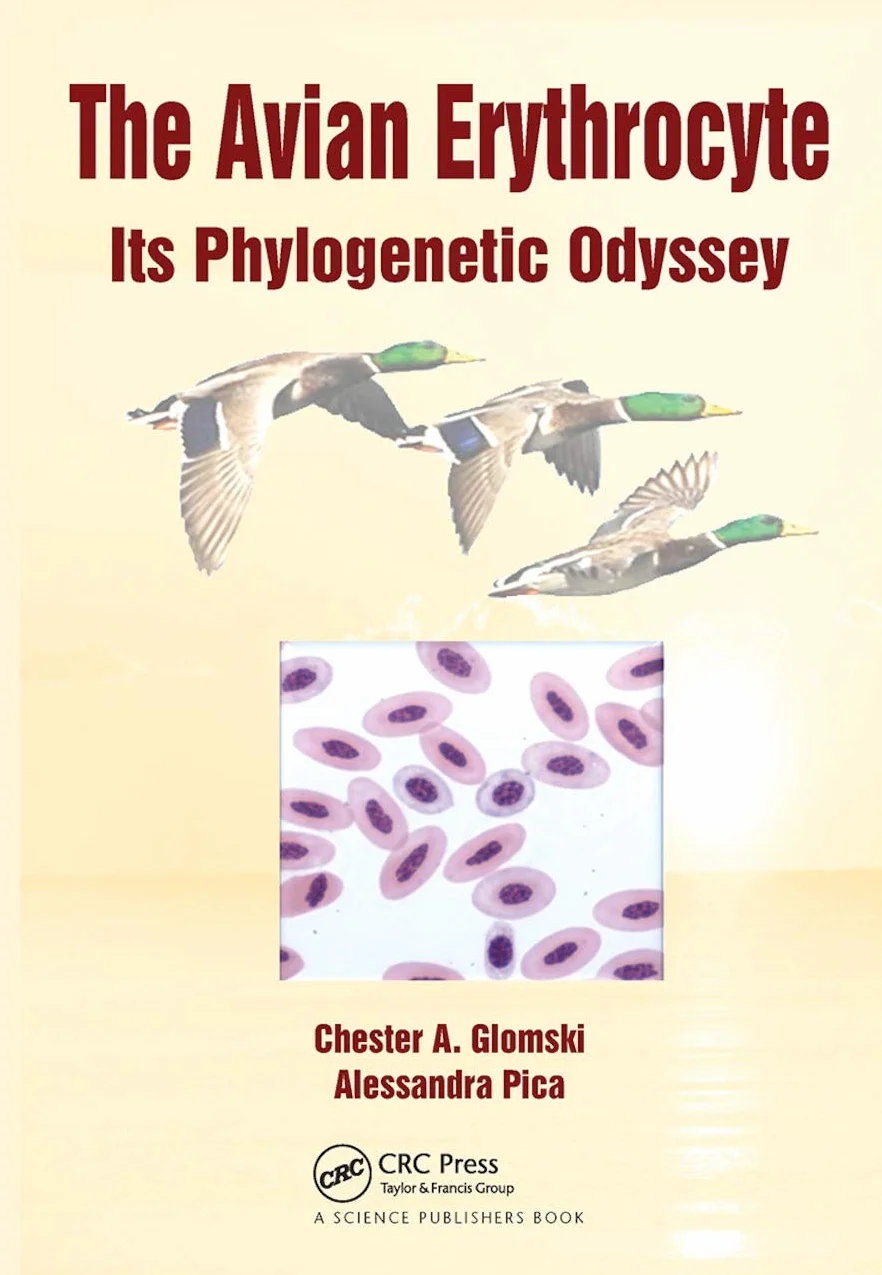 The Avian Erythrocyte: Its Phylogenetic Odyssey
