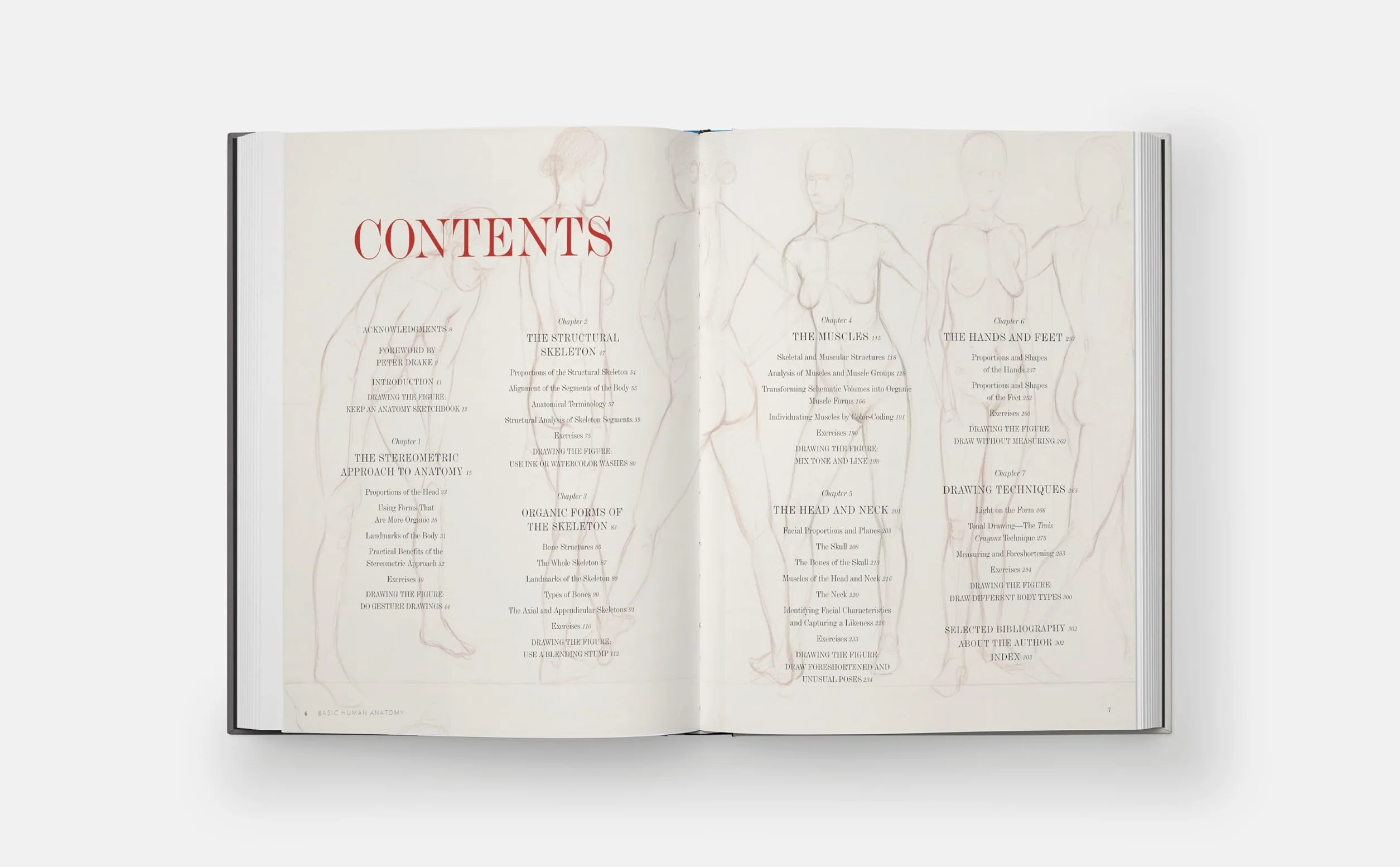 Basic Human Anatomy: An Essential Visual Guide for Artists