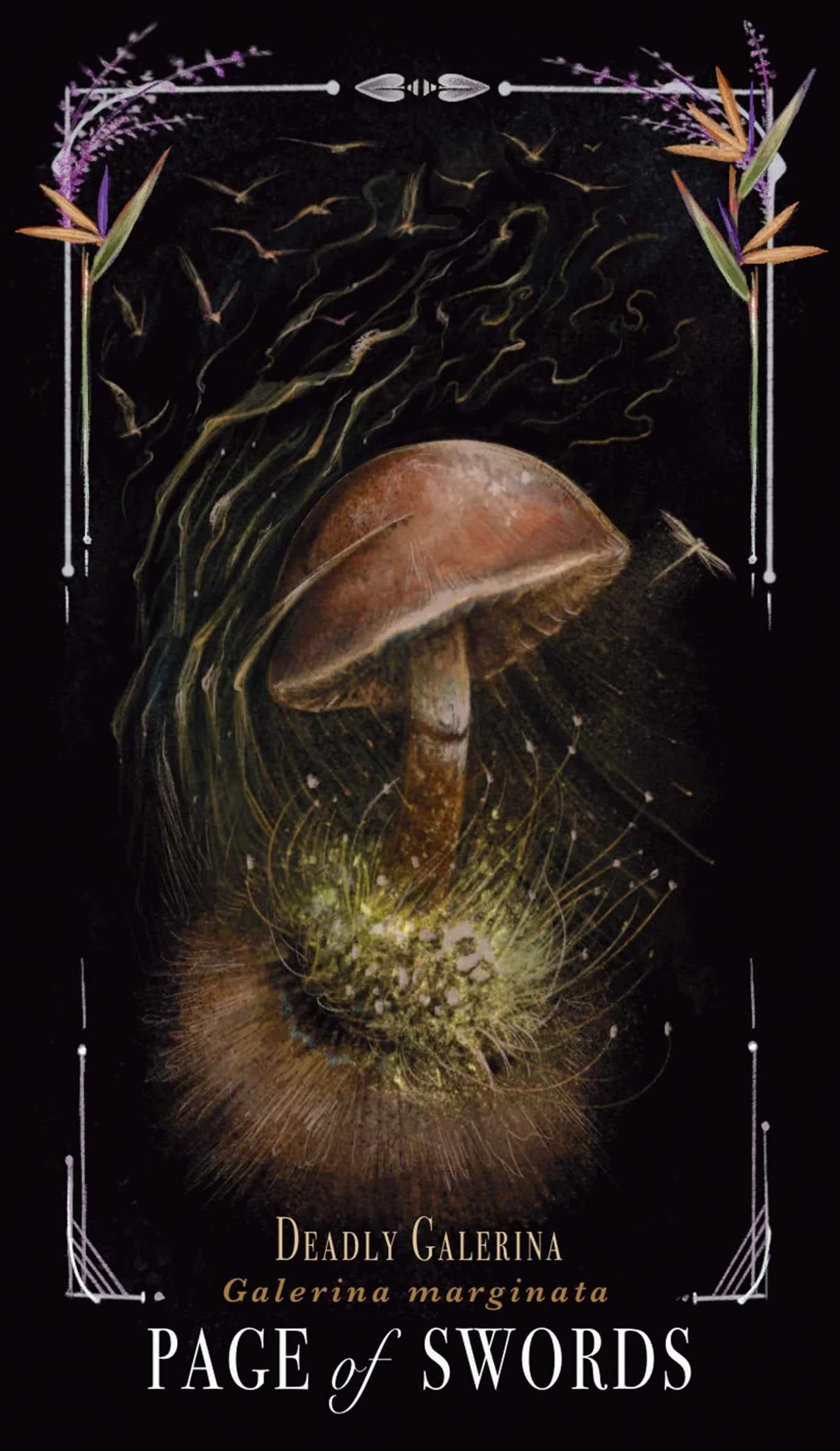 Midnight Magic: A Tarot Deck of Mushrooms