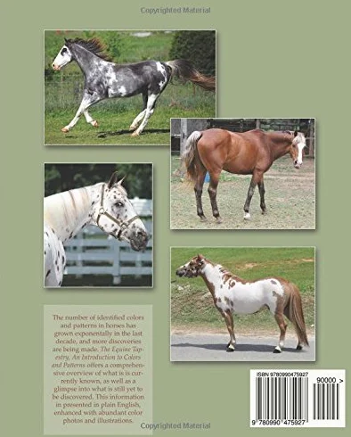 The Equine Tapestry: An Introduction to Colors and Patterns